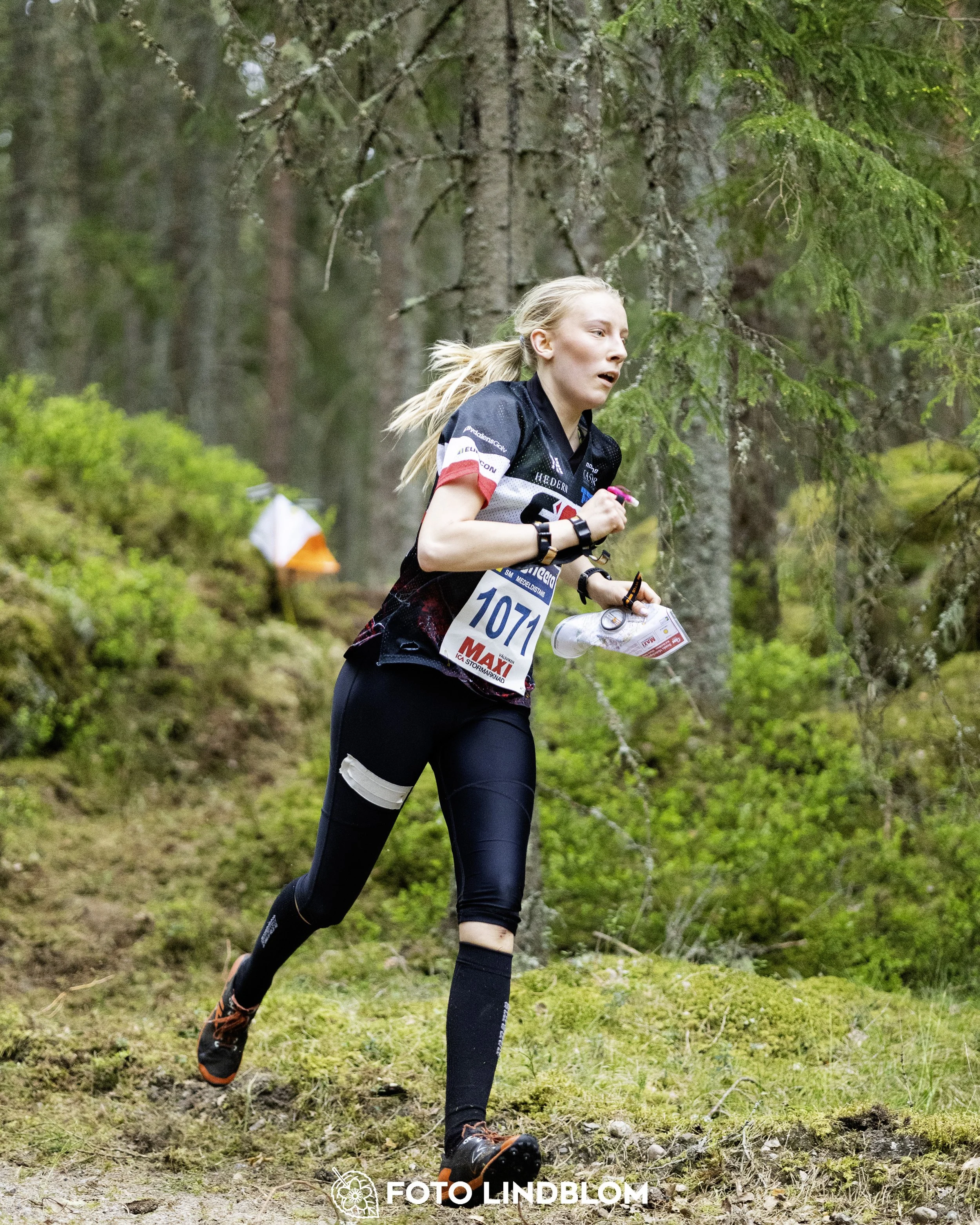 A picture from the Swedish national championship in middle distance orienteering and Swedish league race