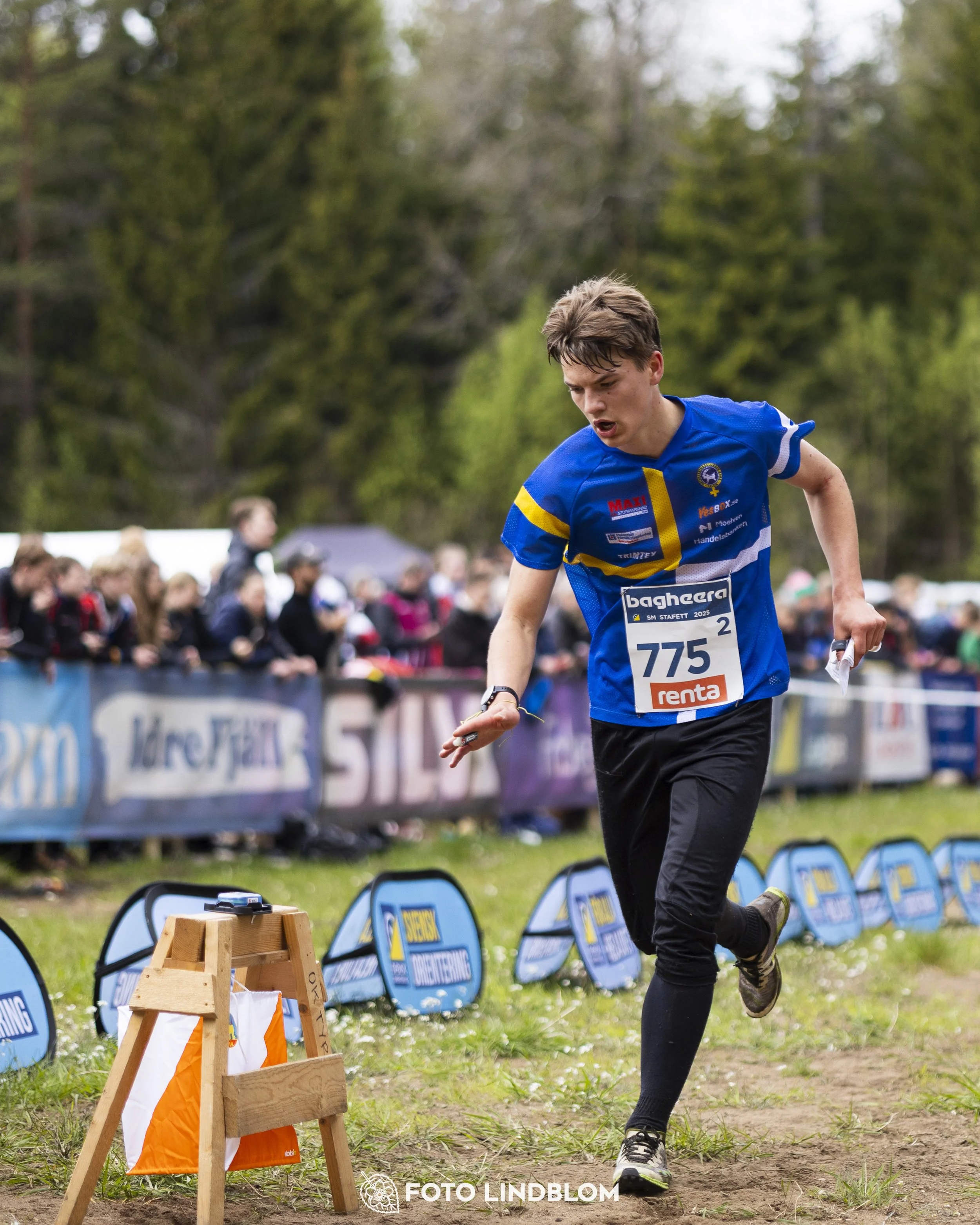 A picture from the Swedish national championship in relay orienteering