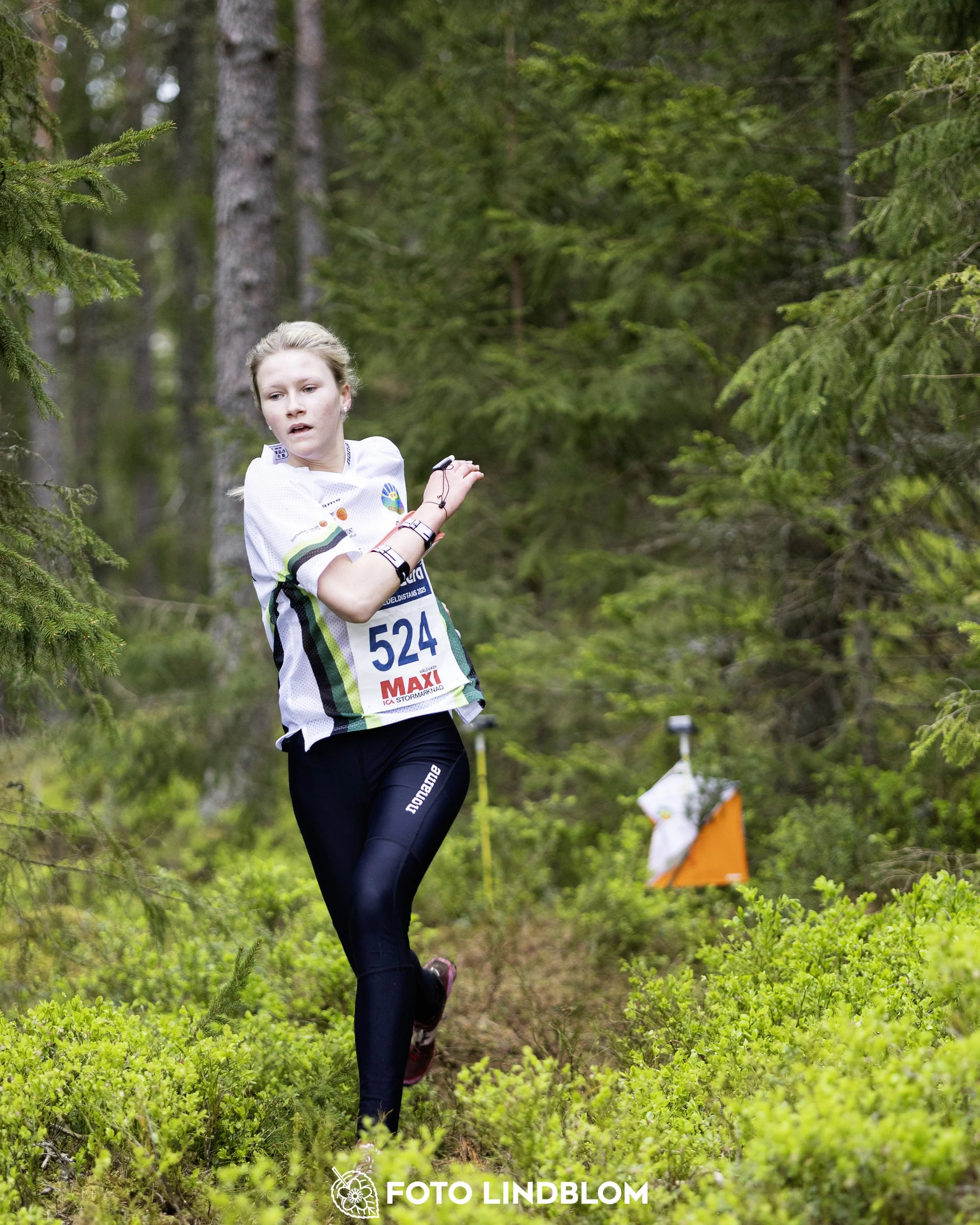 A picture from the Swedish national championship in middle distance orienteering and Swedish league race