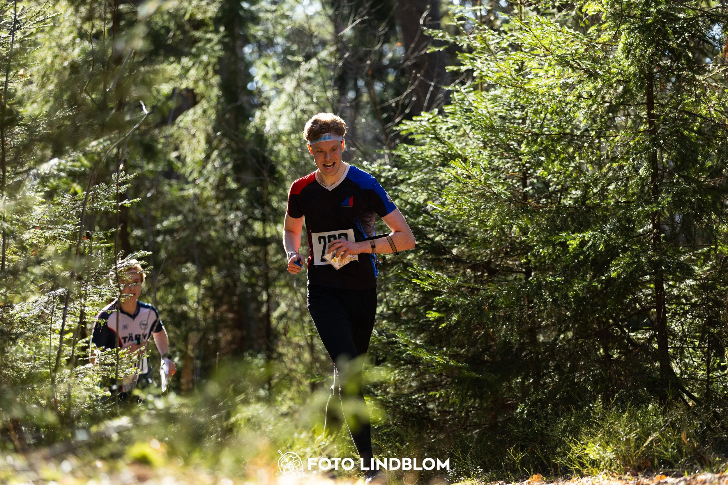 This picture shows competitors during Nyköpingsorienteringen 2026 navigating through forest terrain, photographed by Foto Lindblom.