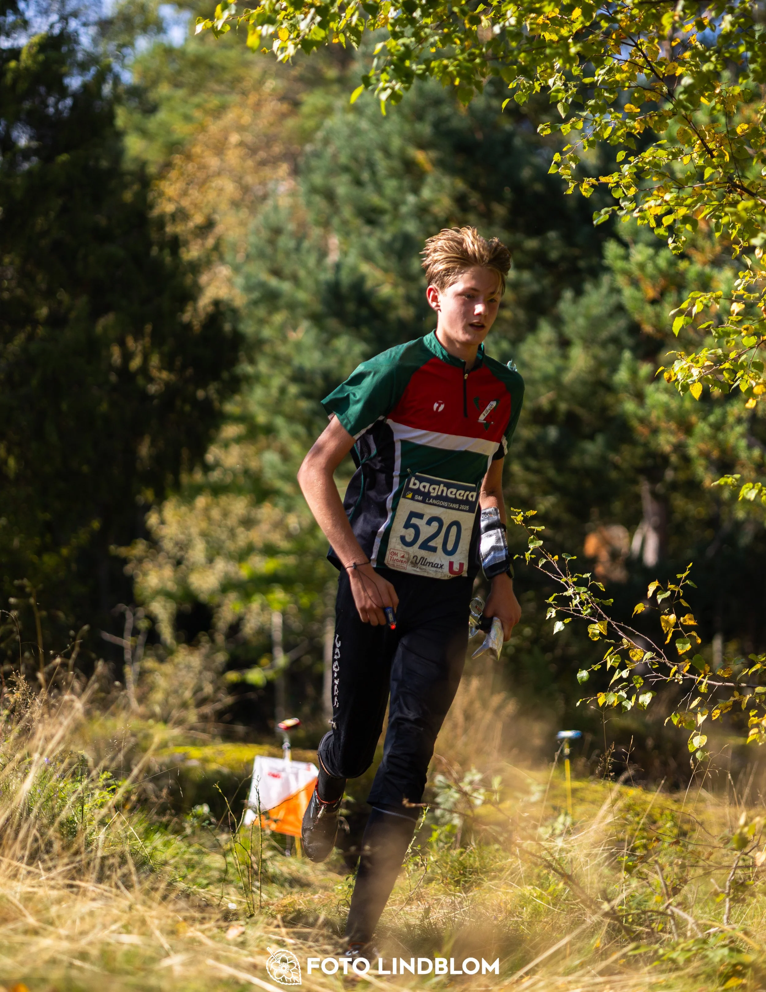 A picture from the Swedish national championship in long distance orienteering and Swedish league race taken by Foto Lindblom