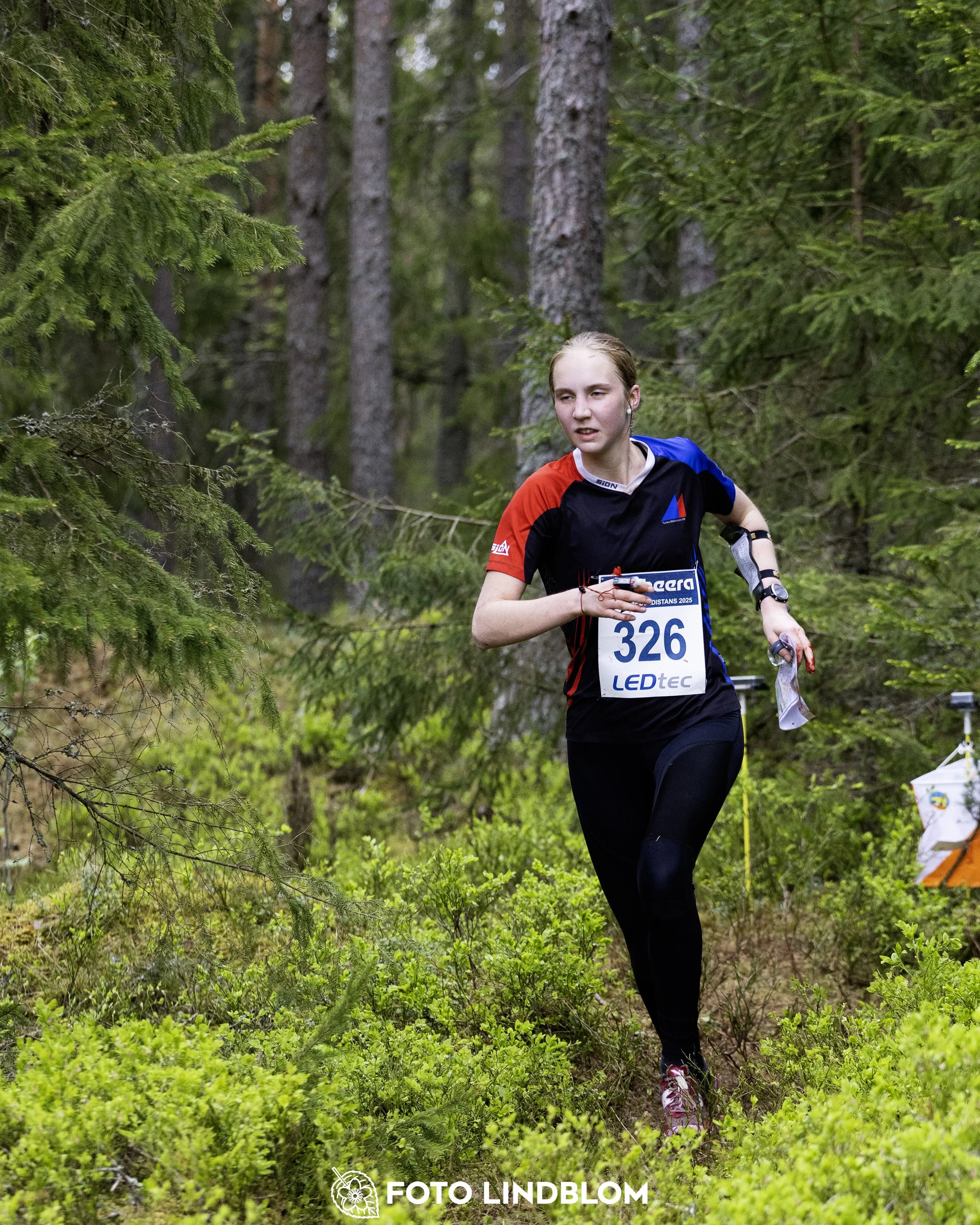 A picture from the Swedish national championship in middle distance orienteering and Swedish league race