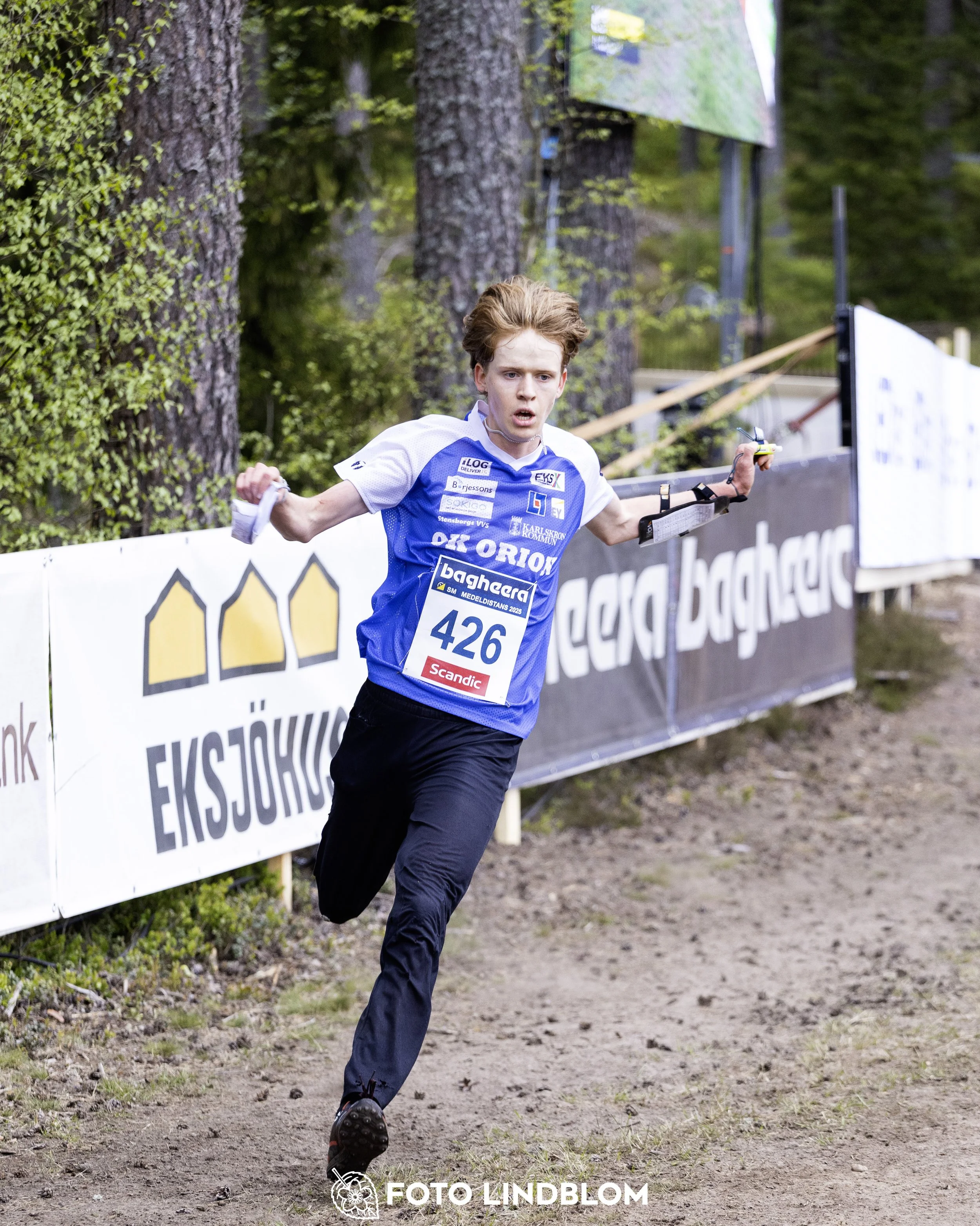 A picture from the Swedish national championship in middle distance orienteering and Swedish league race