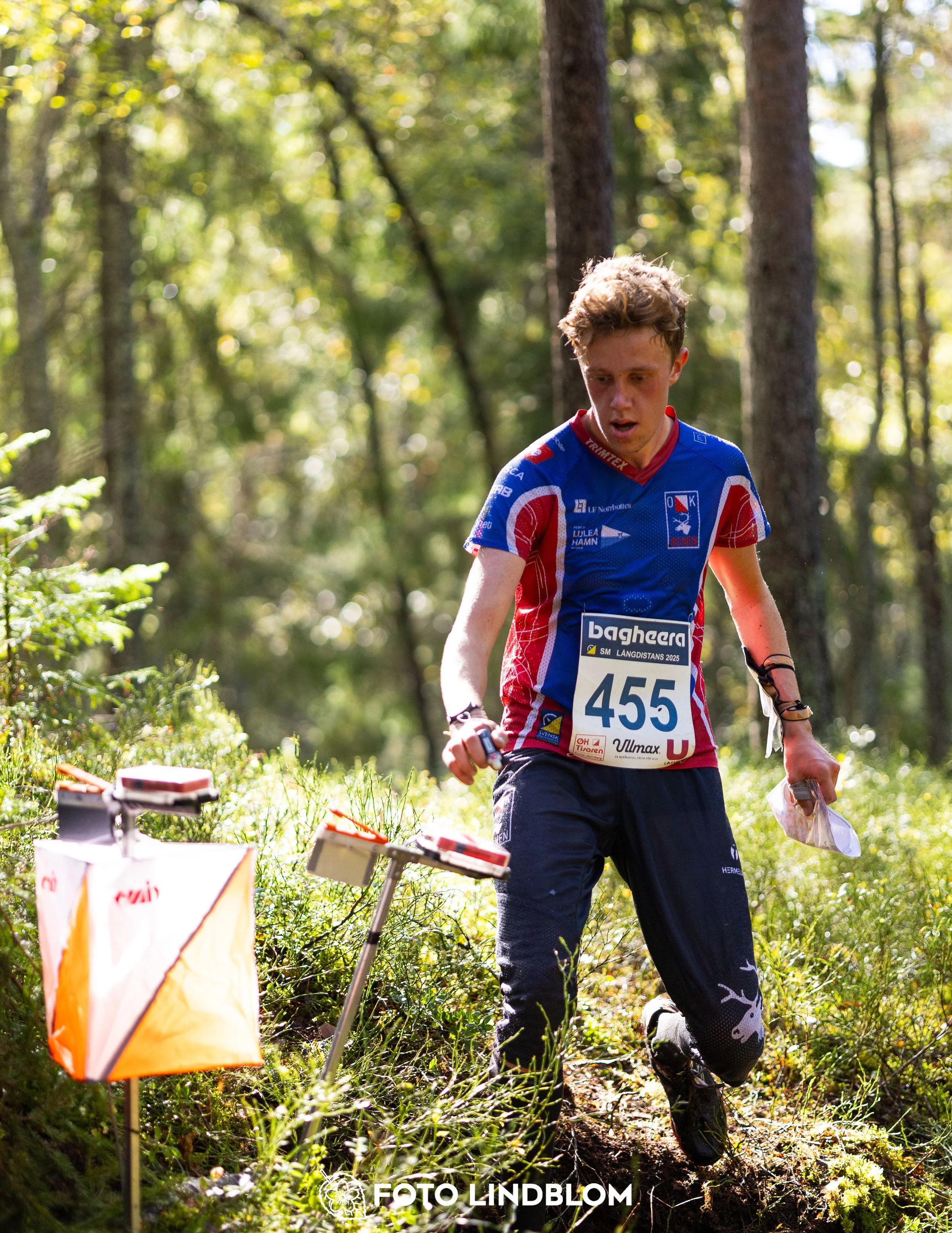 A picture from the Swedish national championship in long distance orienteering and Swedish league race taken by Foto Lindblom