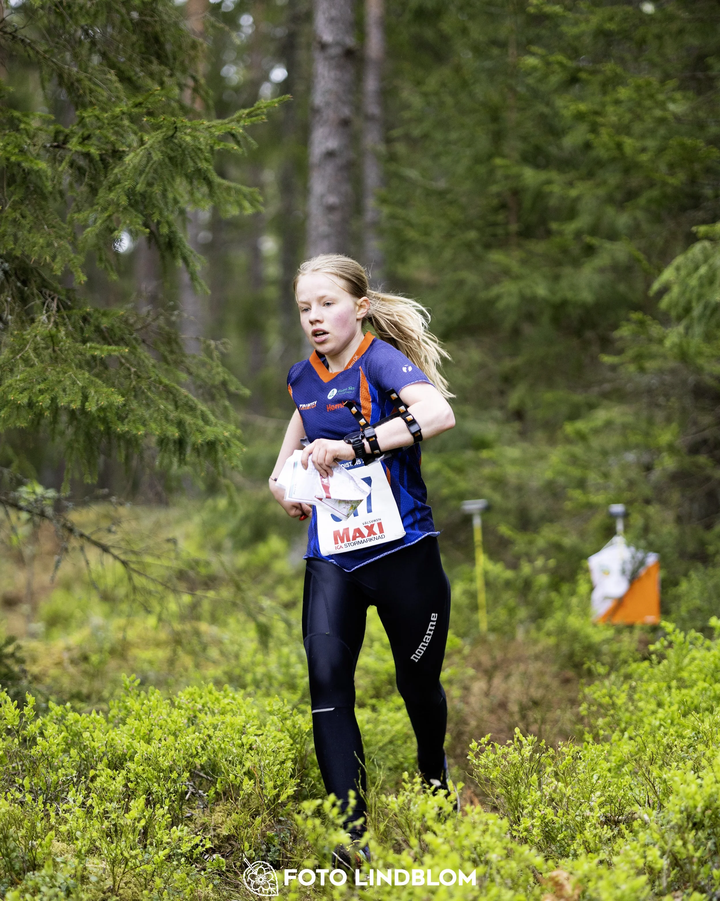 A picture from the Swedish national championship in middle distance orienteering and Swedish league race