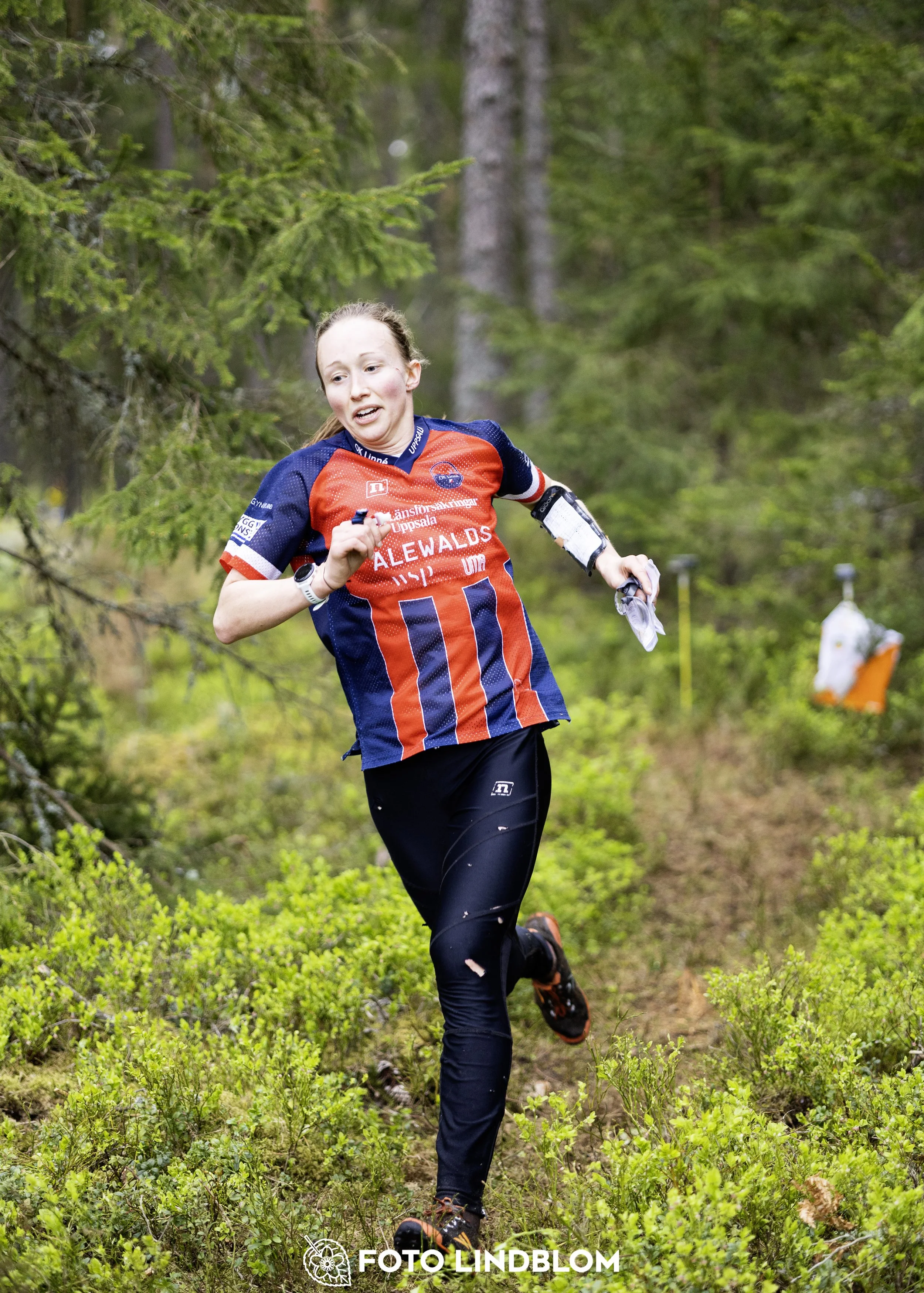 A picture from the Swedish national championship in middle distance orienteering and Swedish league race