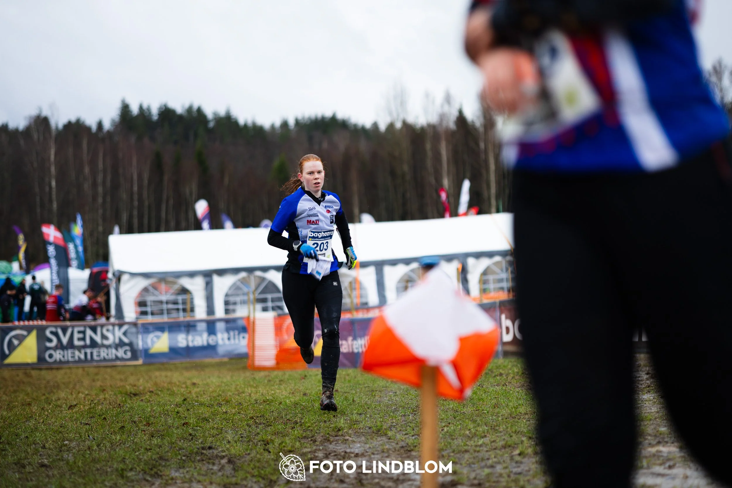 A scene from the Swedish League middle distance event in Kolmården spring 2026, captured by Foto Lindblom.