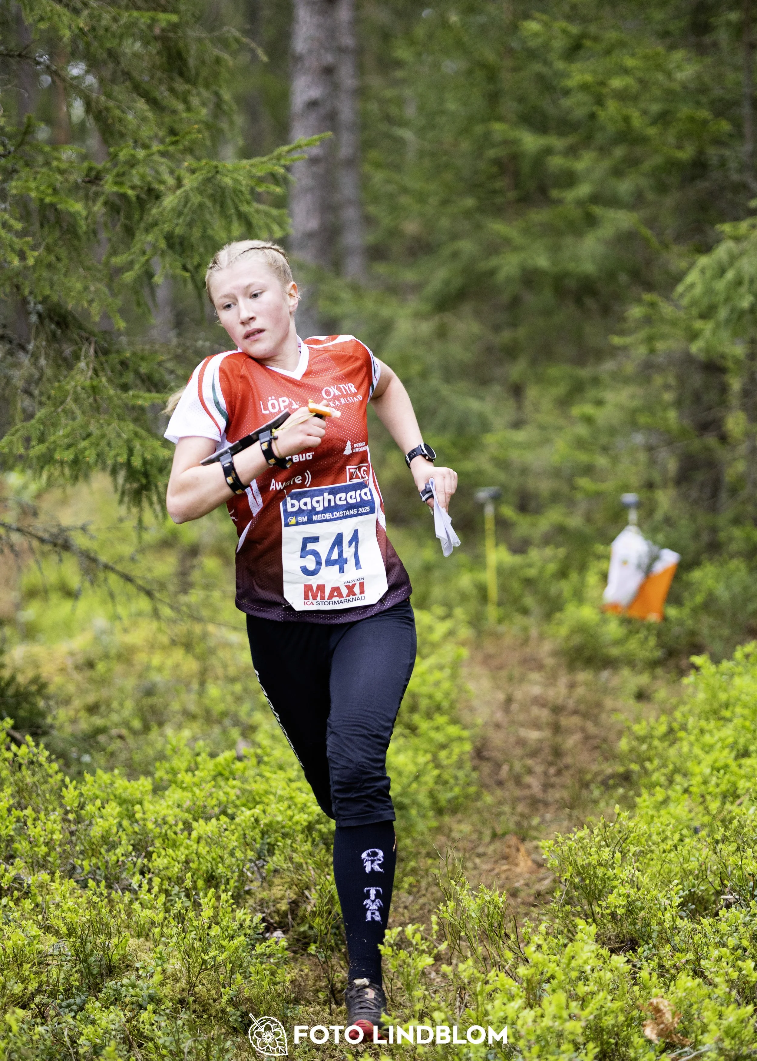 A picture from the Swedish national championship in middle distance orienteering and Swedish league race
