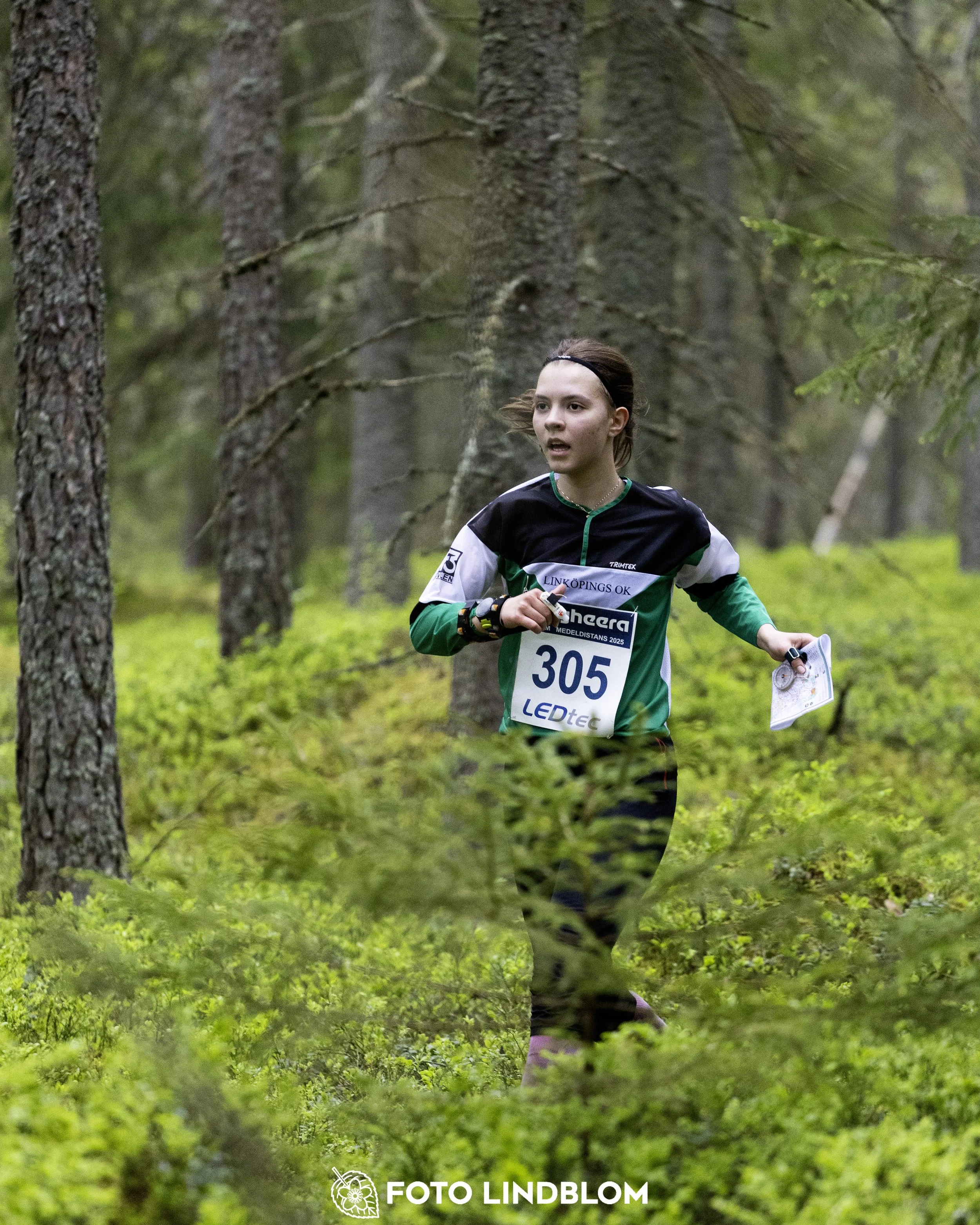 A picture from the Swedish national championship in middle distance orienteering and Swedish league race