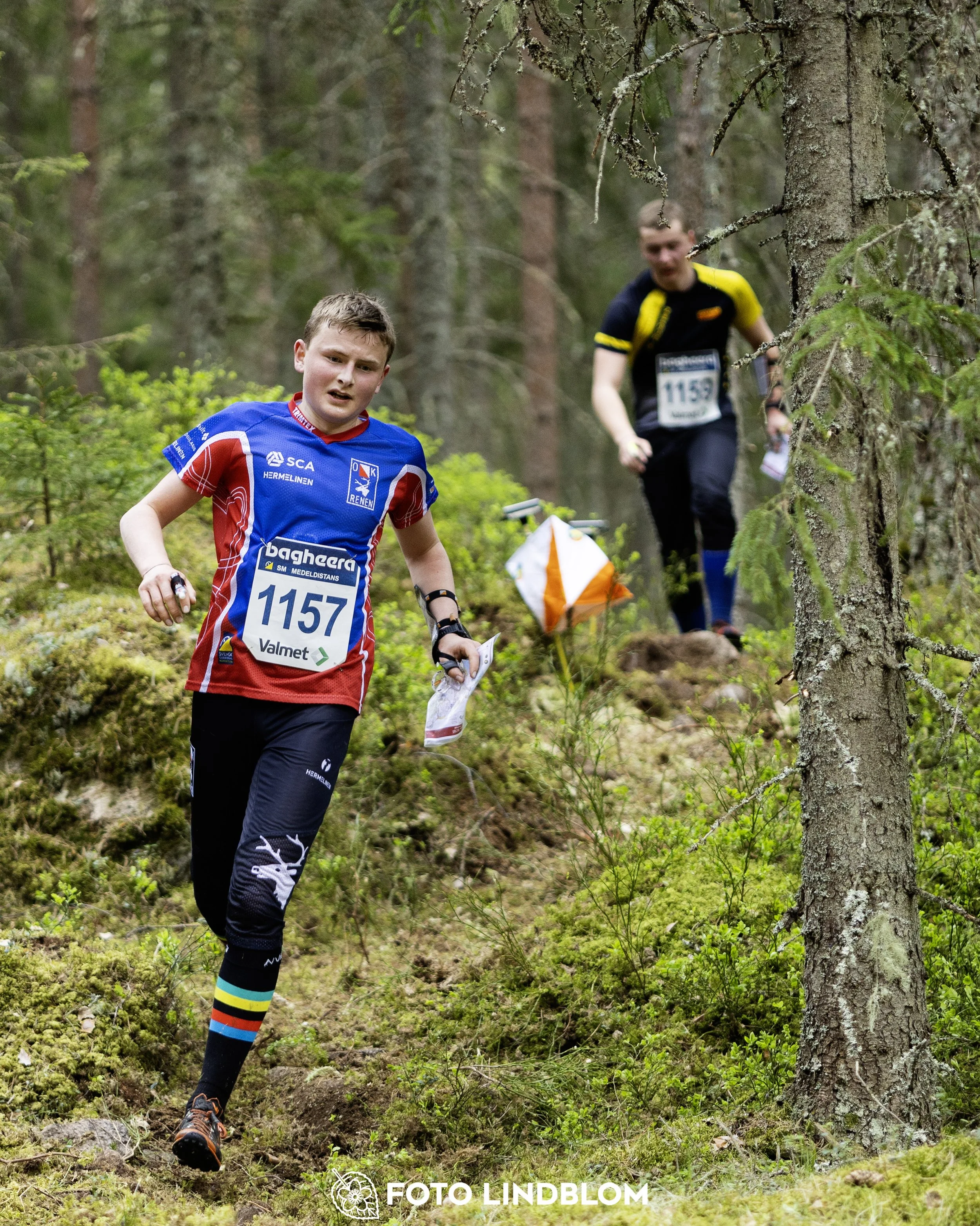 A picture from the Swedish national championship in middle distance orienteering and Swedish league race