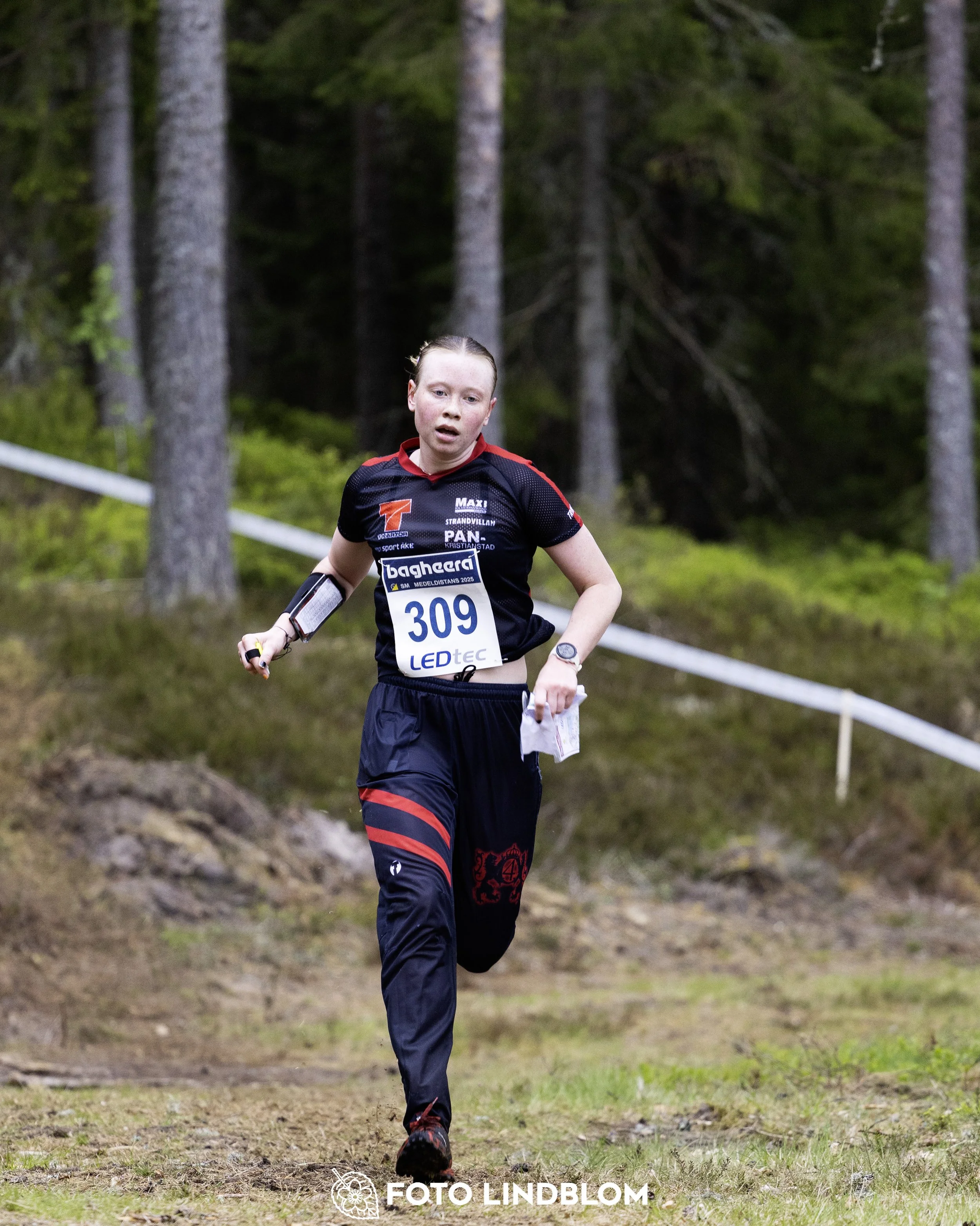 A picture from the Swedish national championship in middle distance orienteering and Swedish league race