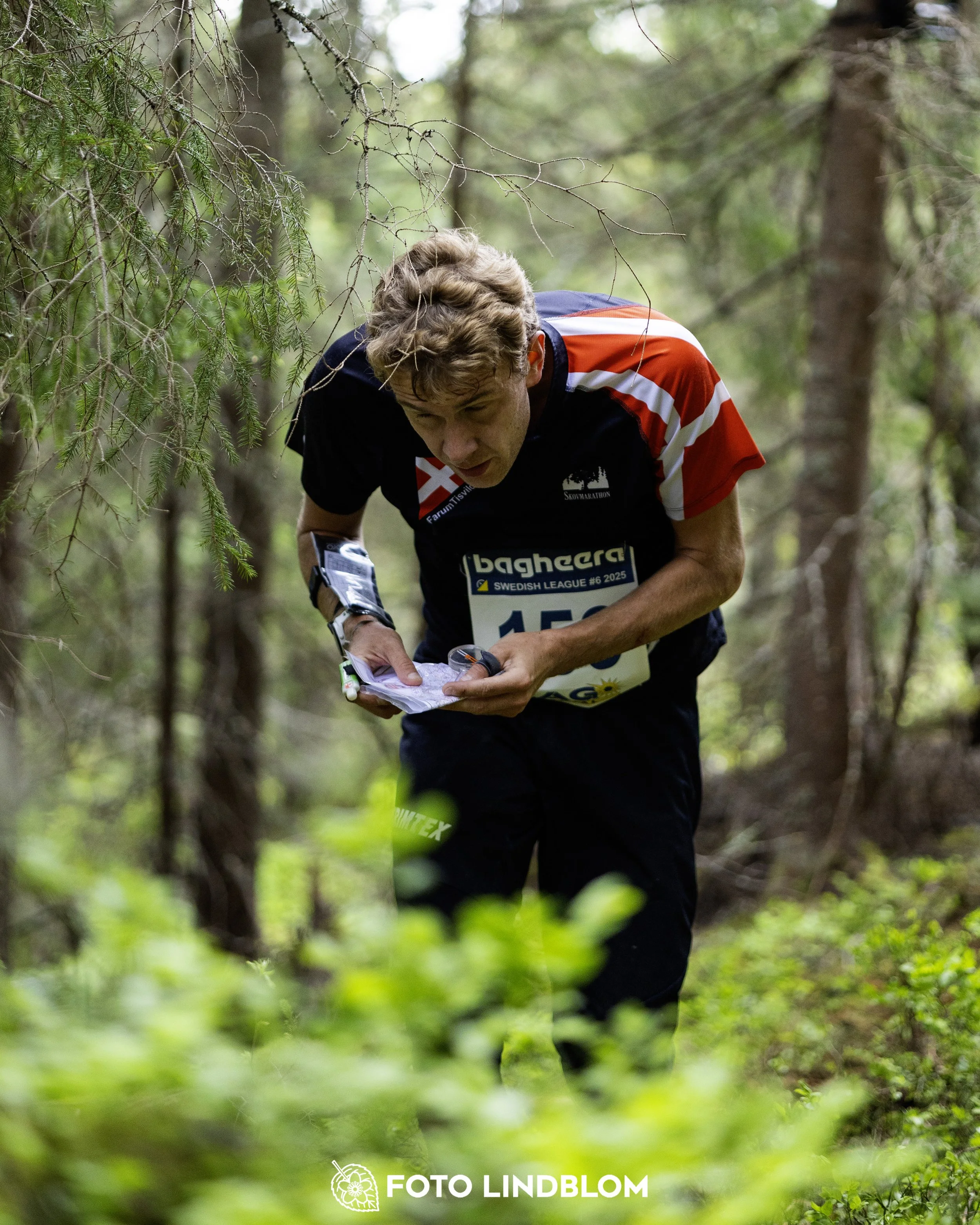A picture from the seventh stage of the Swedish League orienteering competition