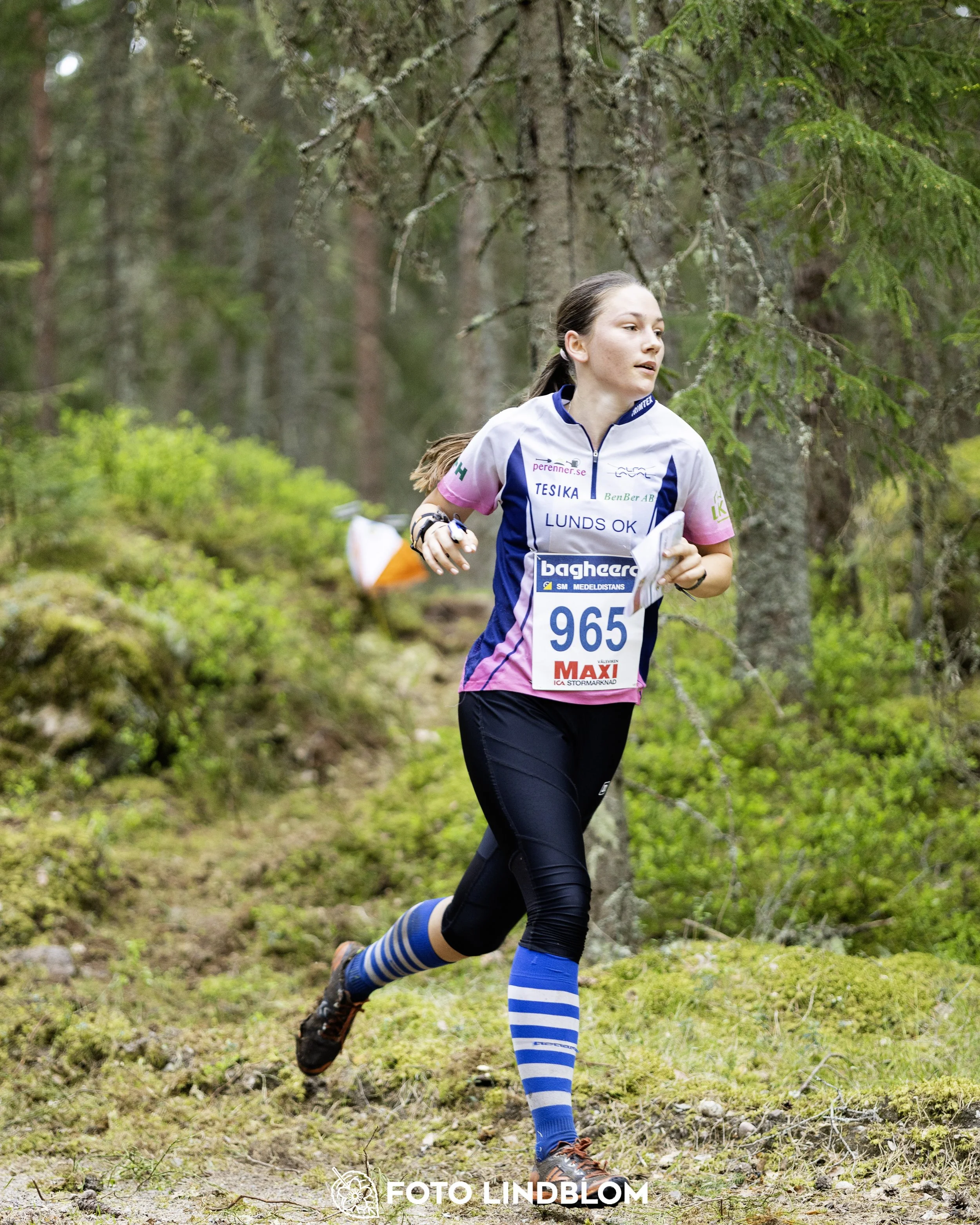 A picture from the Swedish national championship in middle distance orienteering and Swedish league race