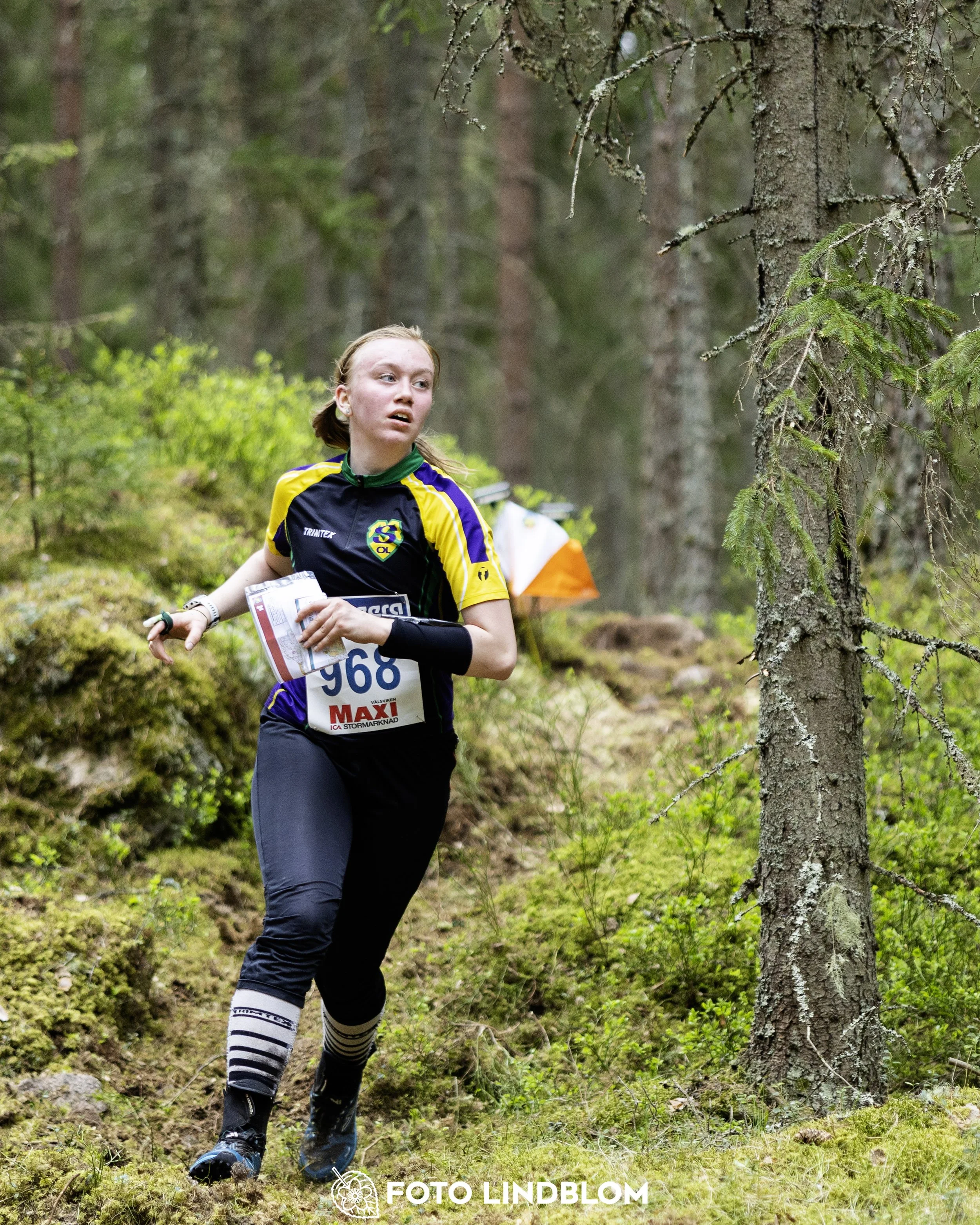A picture from the Swedish national championship in middle distance orienteering and Swedish league race