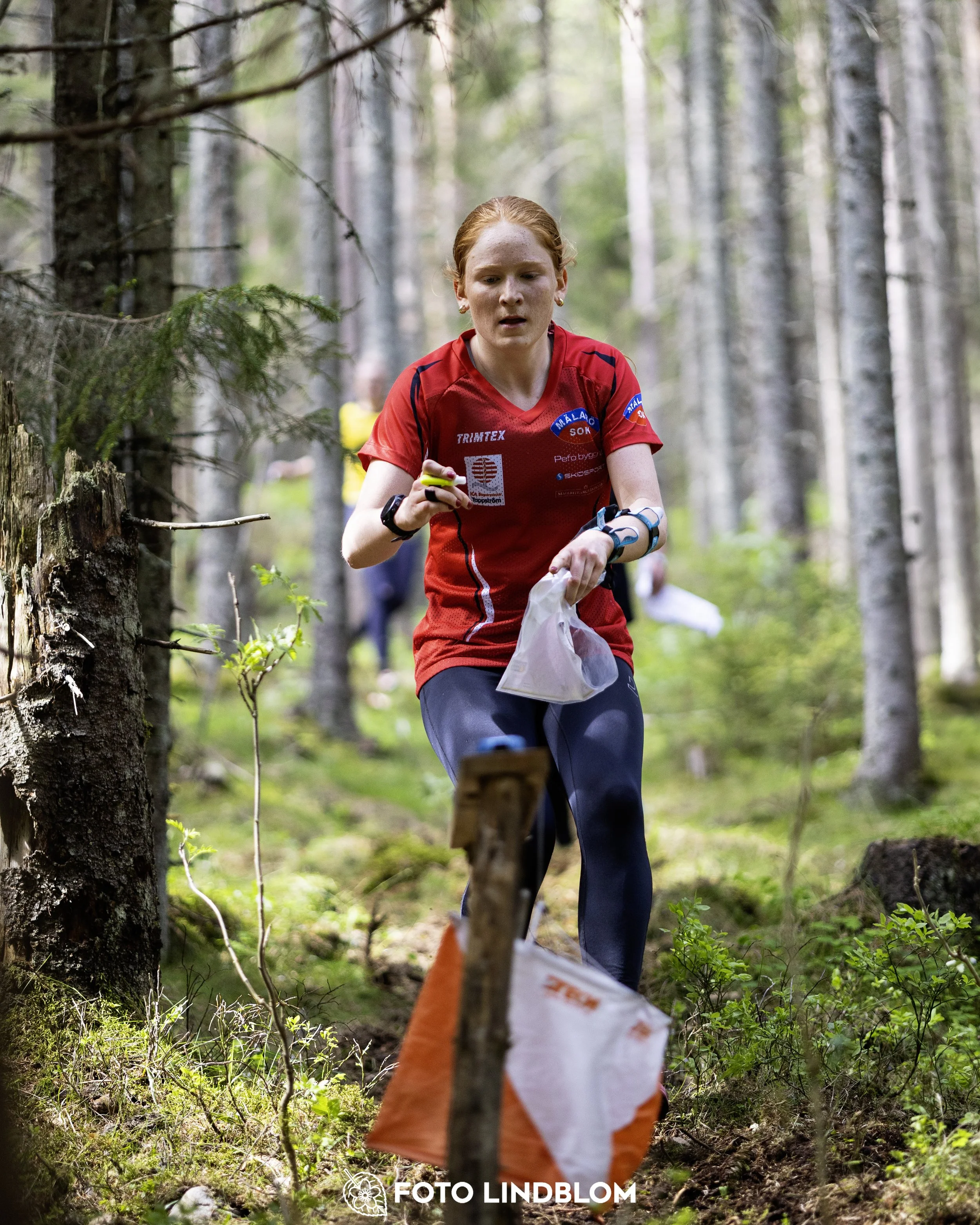A picture from the seventh stage of the Swedish League orienteering competition