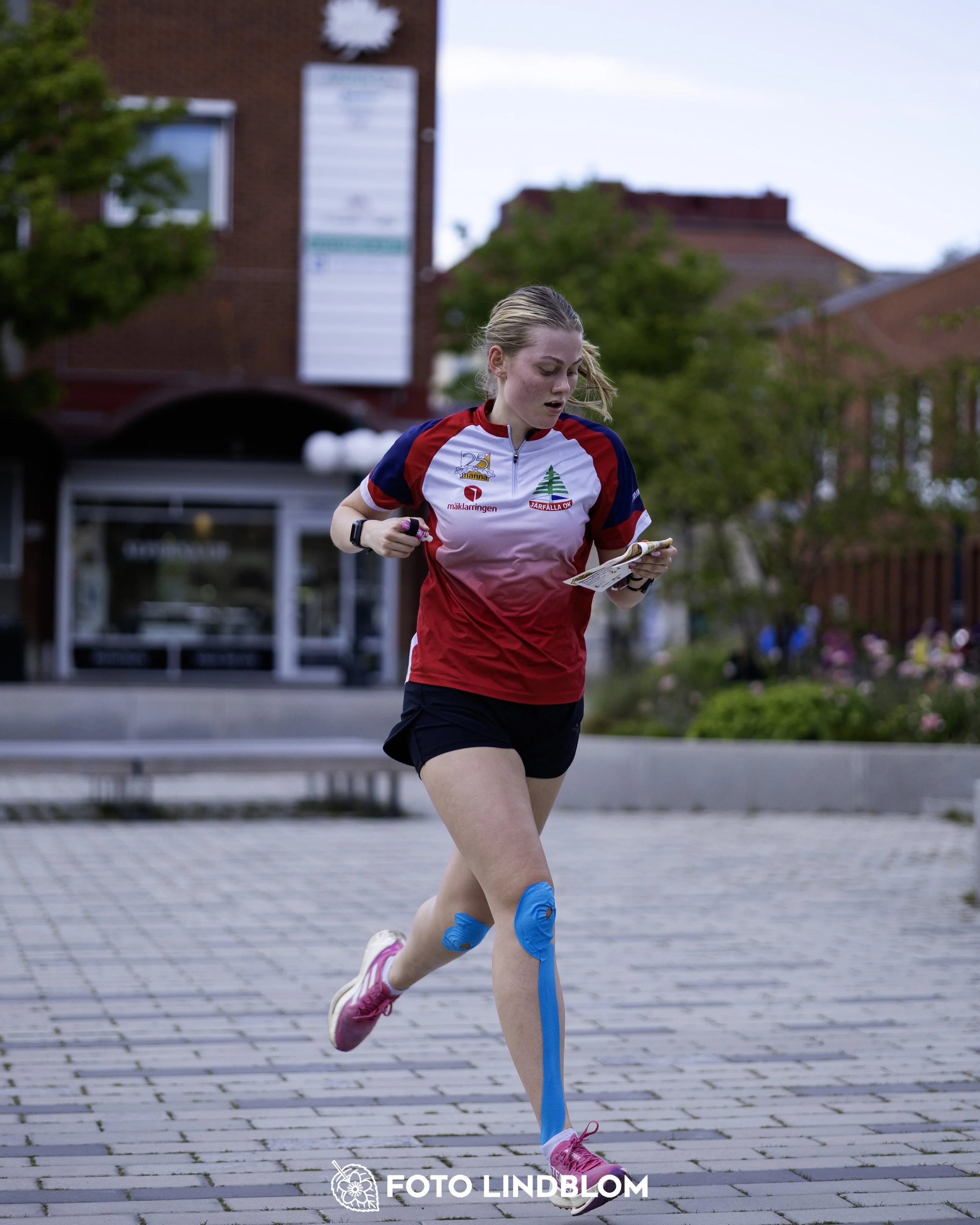 A picture from the fifth stage of the Swedish League orienteering competition