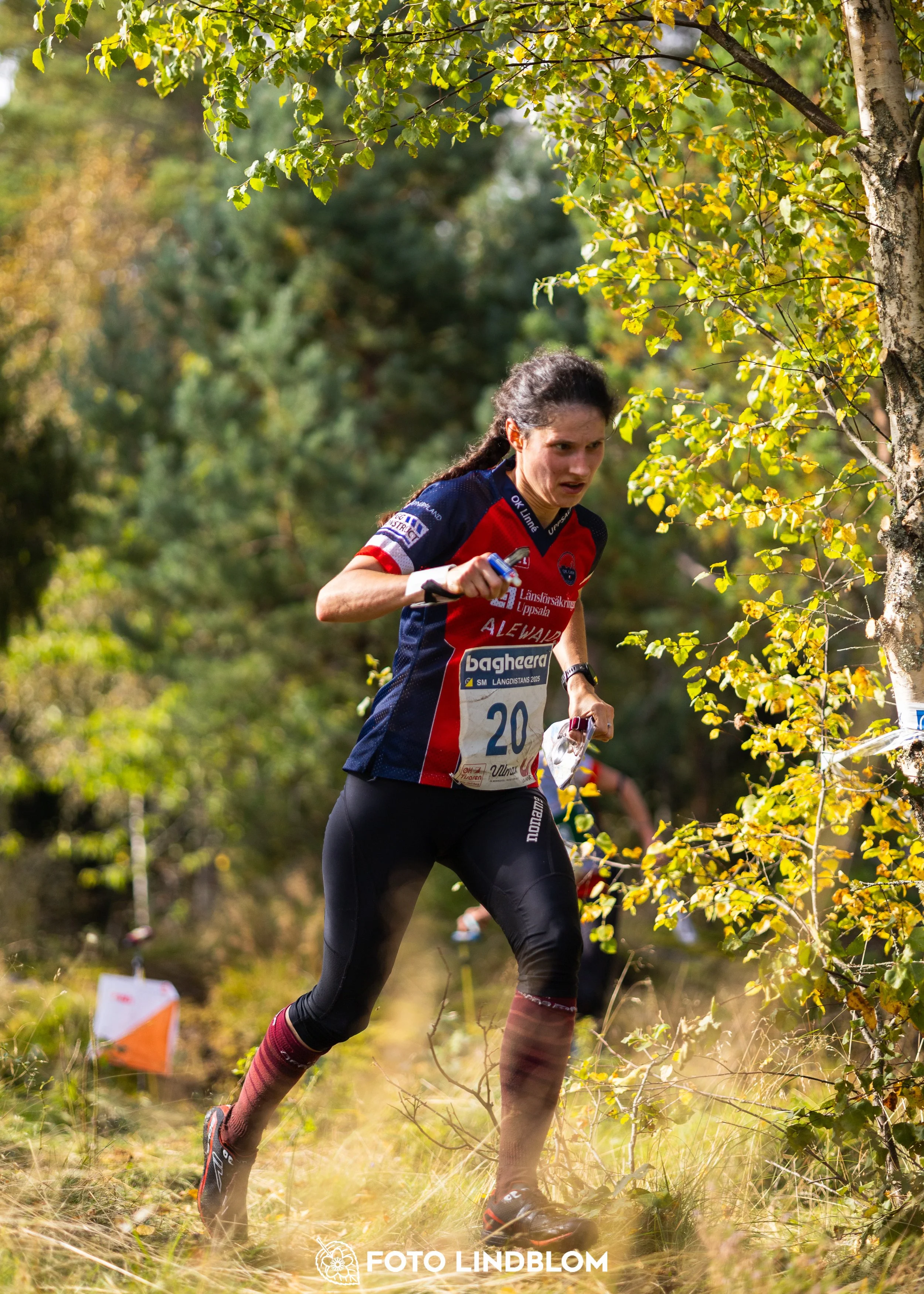 A picture from the Swedish national championship in long distance orienteering and Swedish league race taken by Foto Lindblom