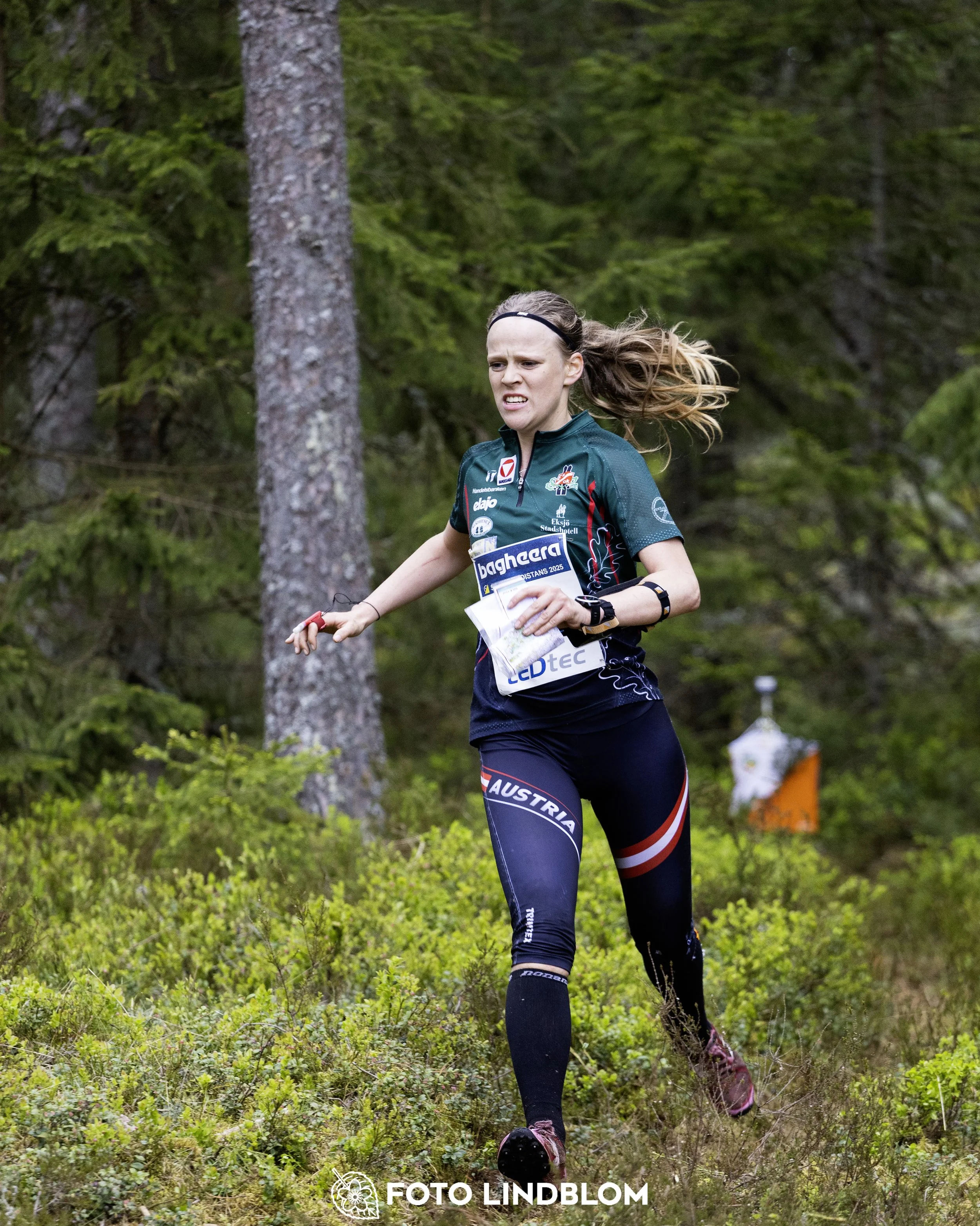 A picture from the Swedish national championship in middle distance orienteering and Swedish league race