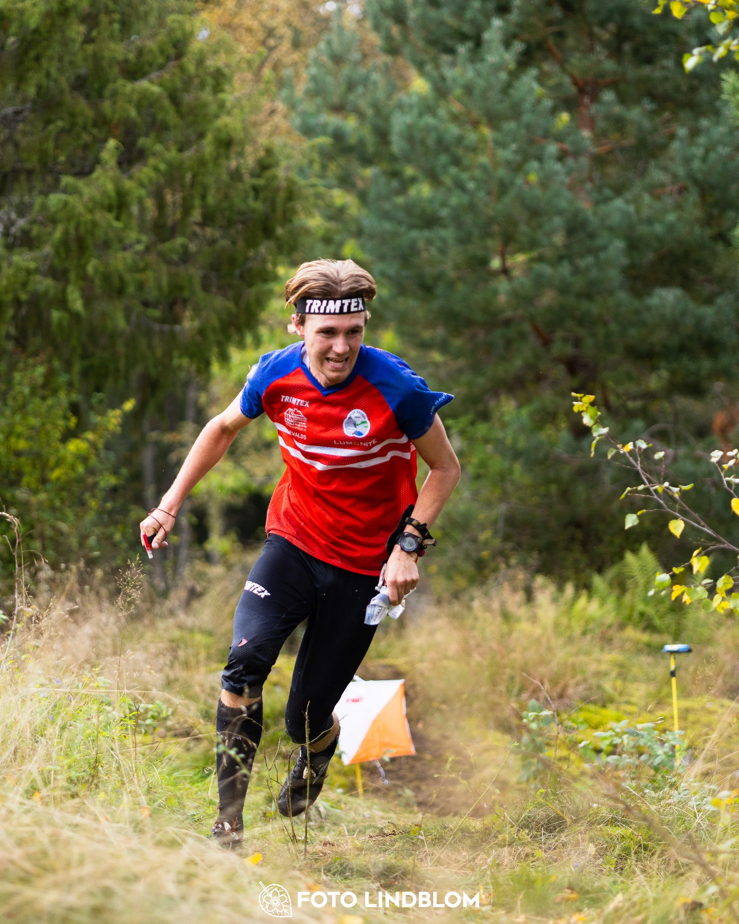 A picture from the Swedish national championship in long distance orienteering and Swedish league race taken by Foto Lindblom