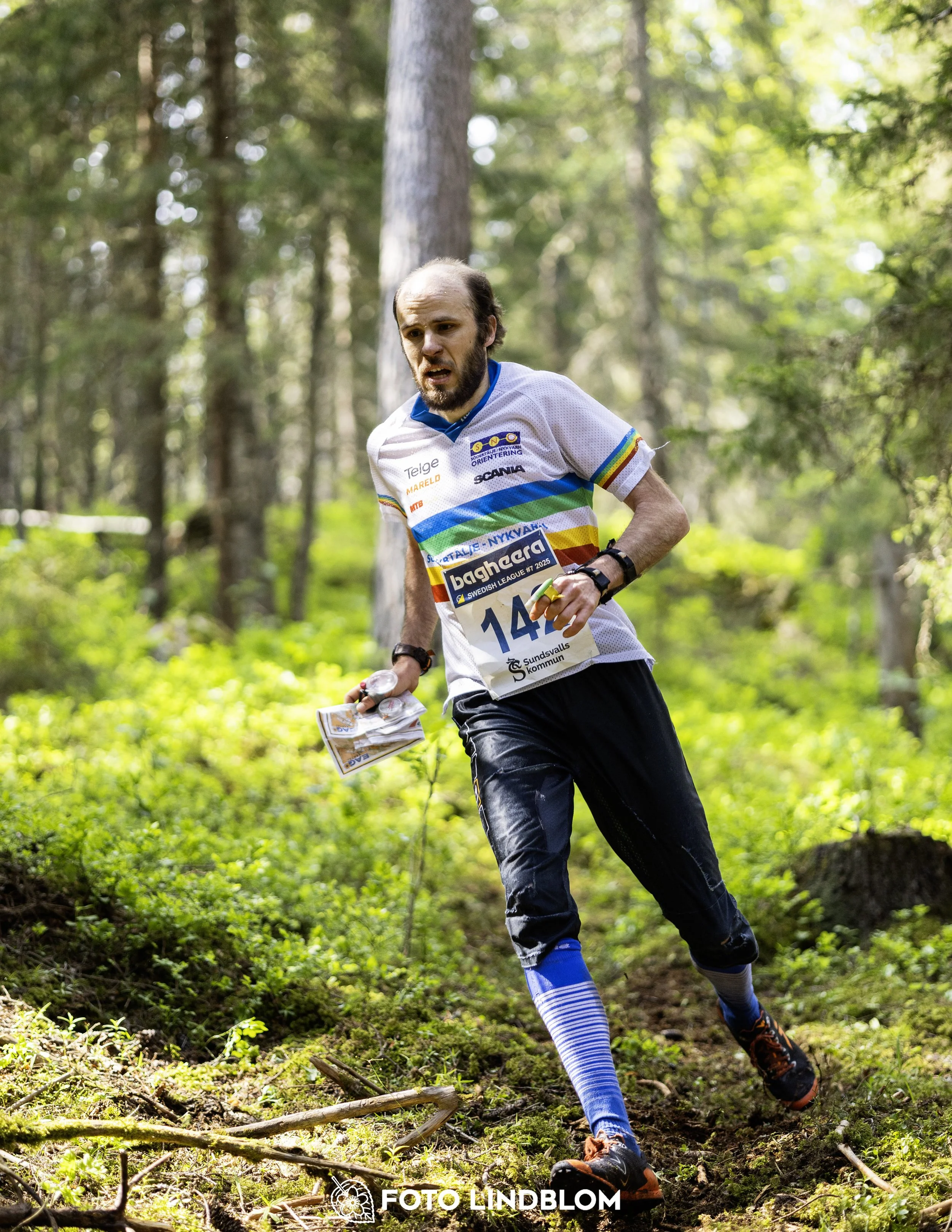 A picture from the seventh stage of the Swedish League orienteering competition