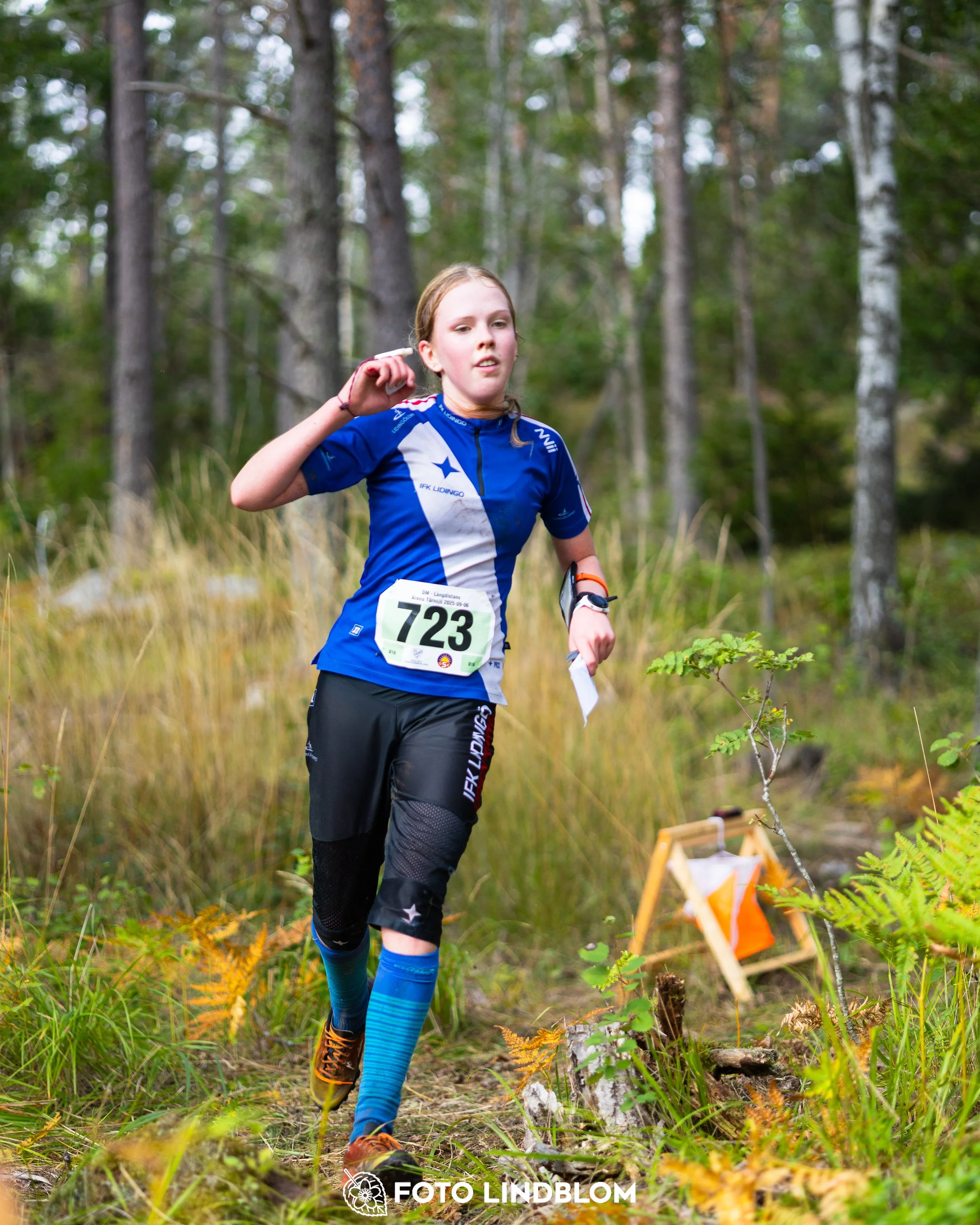 A picture from the Stockholm district championship in middle distance orienteering taken by Foto Lindblom