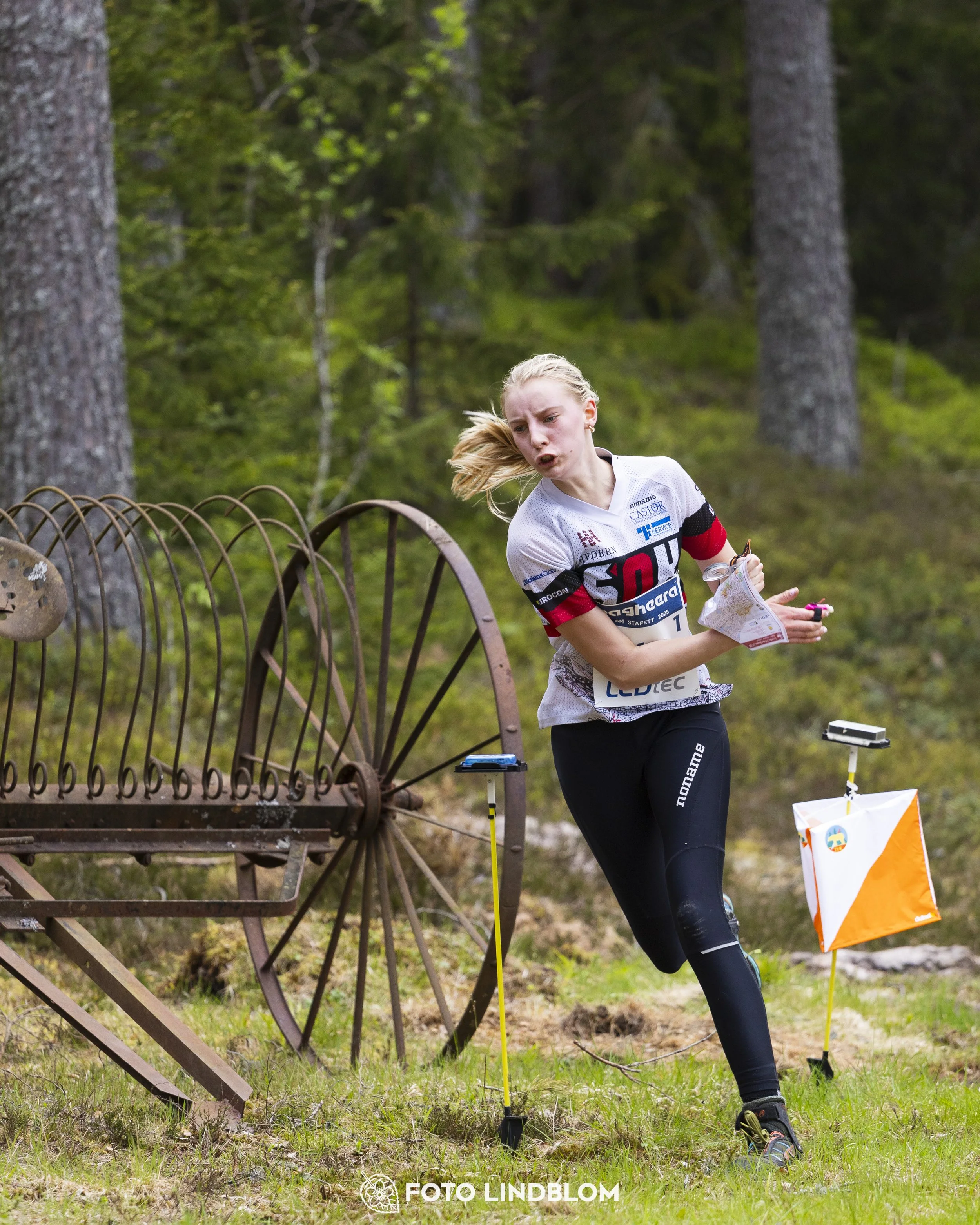 A picture from the Swedish national championship in relay orienteering
