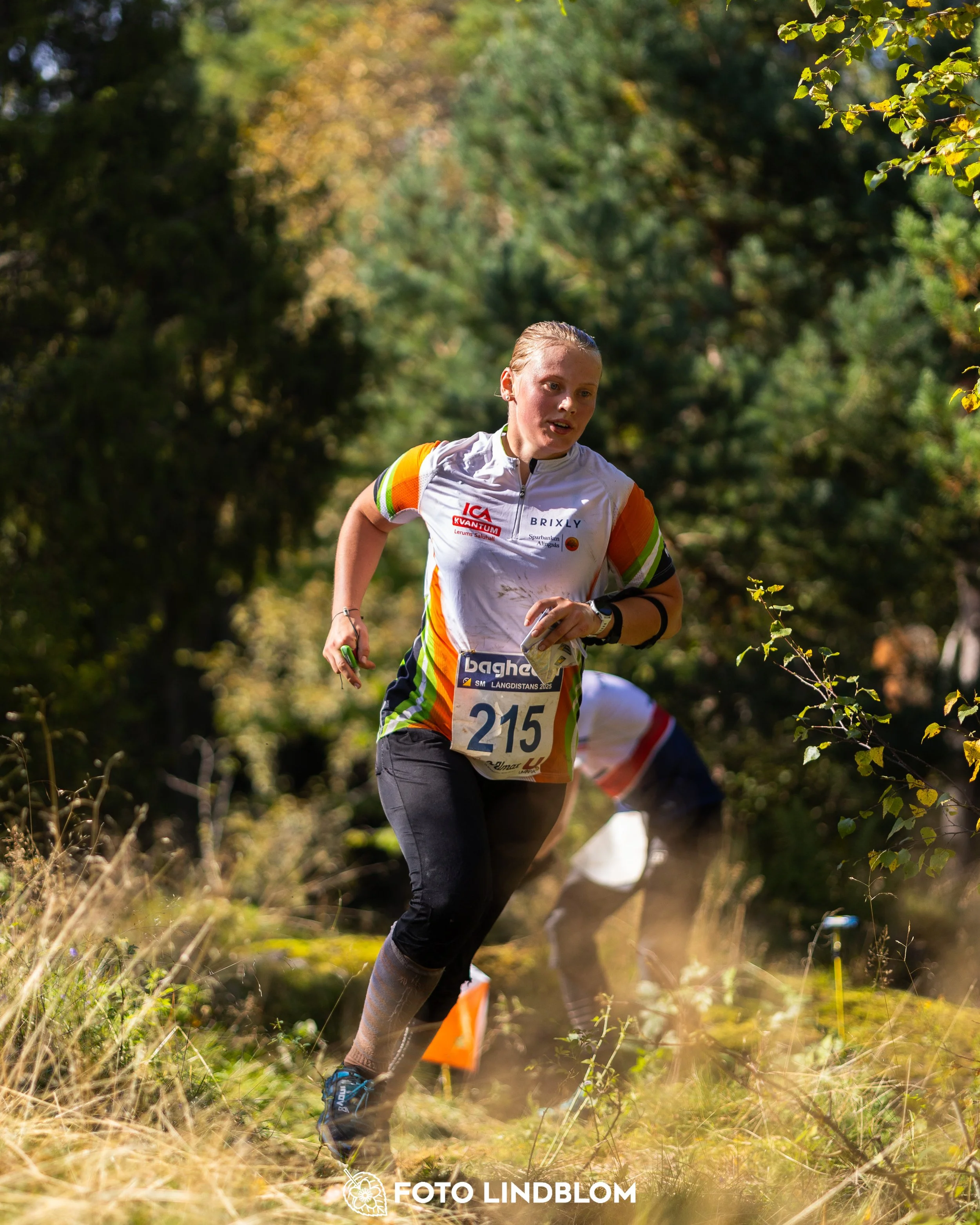 A picture from the Swedish national championship in long distance orienteering and Swedish league race taken by Foto Lindblom