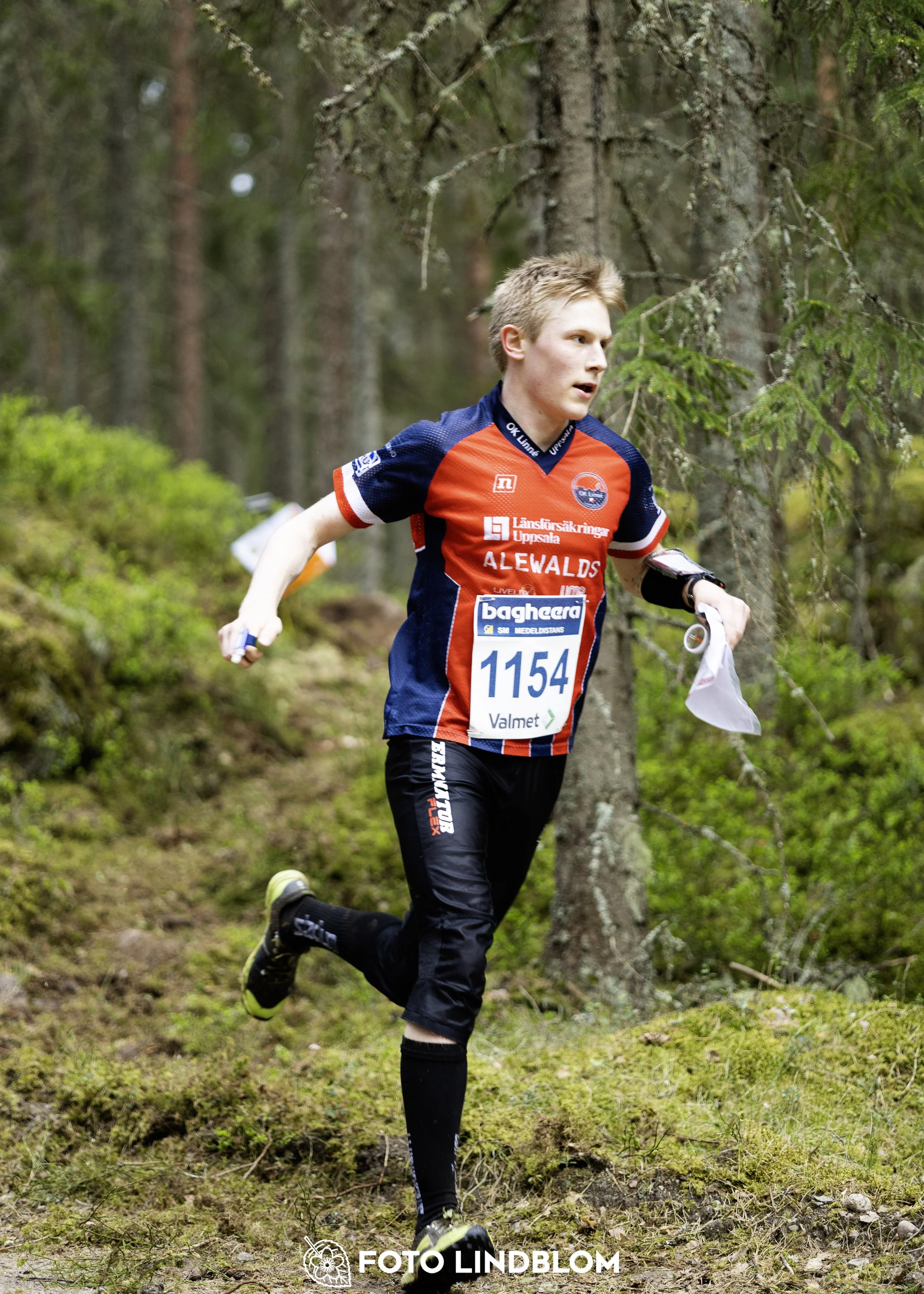 A picture from the Swedish national championship in middle distance orienteering and Swedish league race