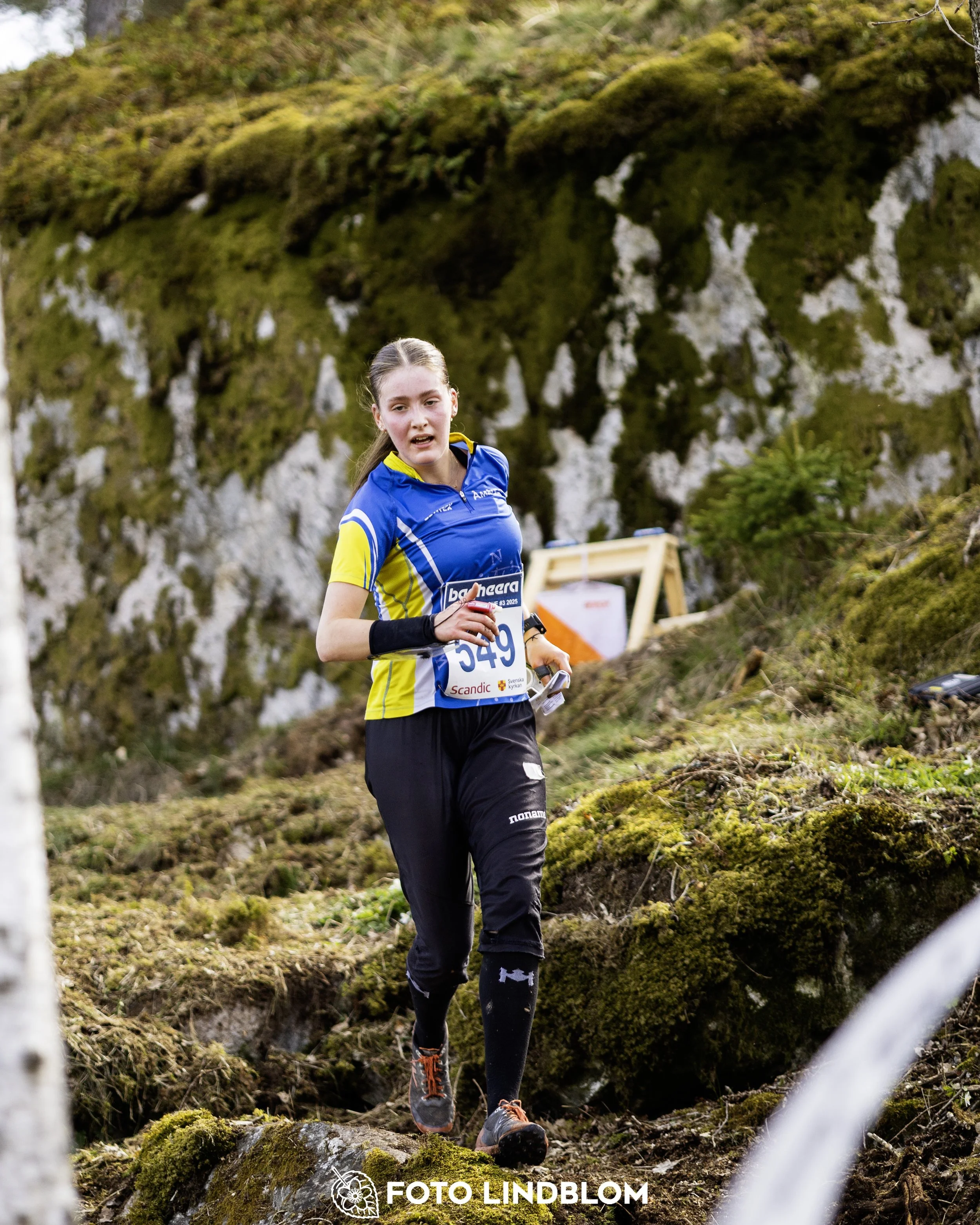 A picture from the third stage of the Swedish League orienteering competition