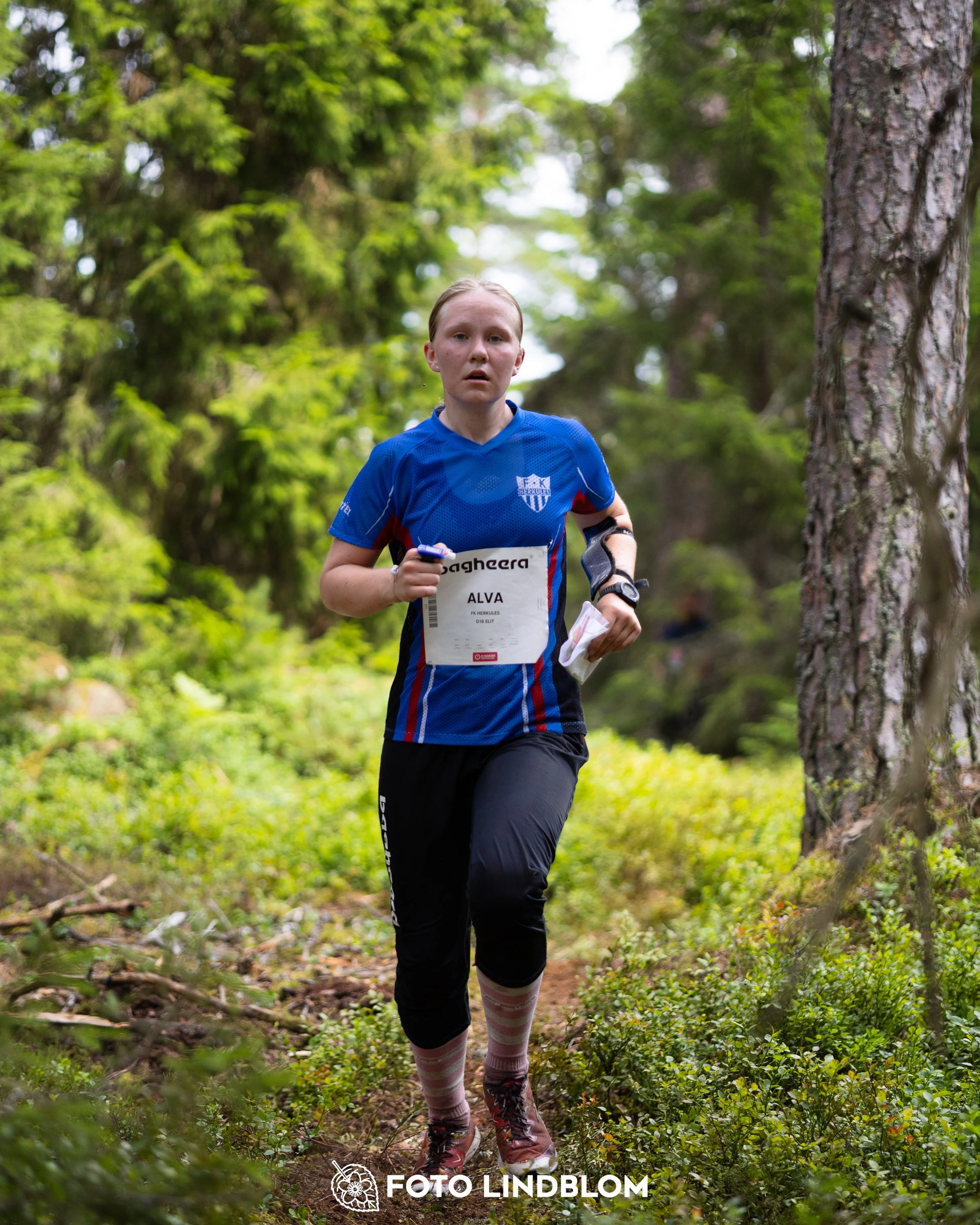 A picture from the second stage of Oringen 2025