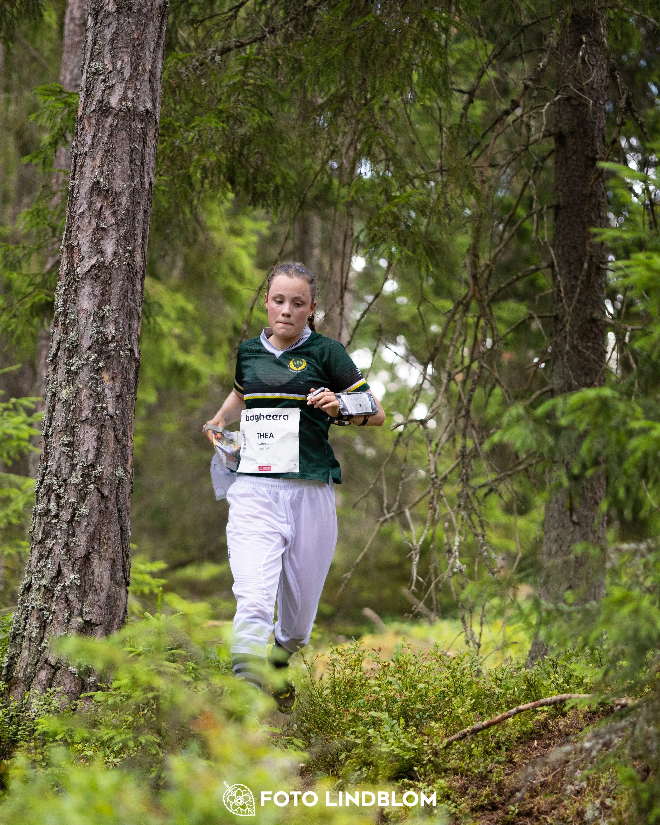 A picture from the second stage of Oringen 2025