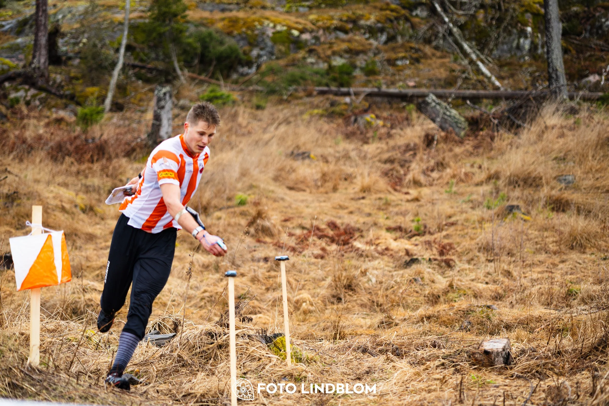A scene from the Swedish League orienteering competition in Kolmården spring 2026, captured by Foto Lindblom.