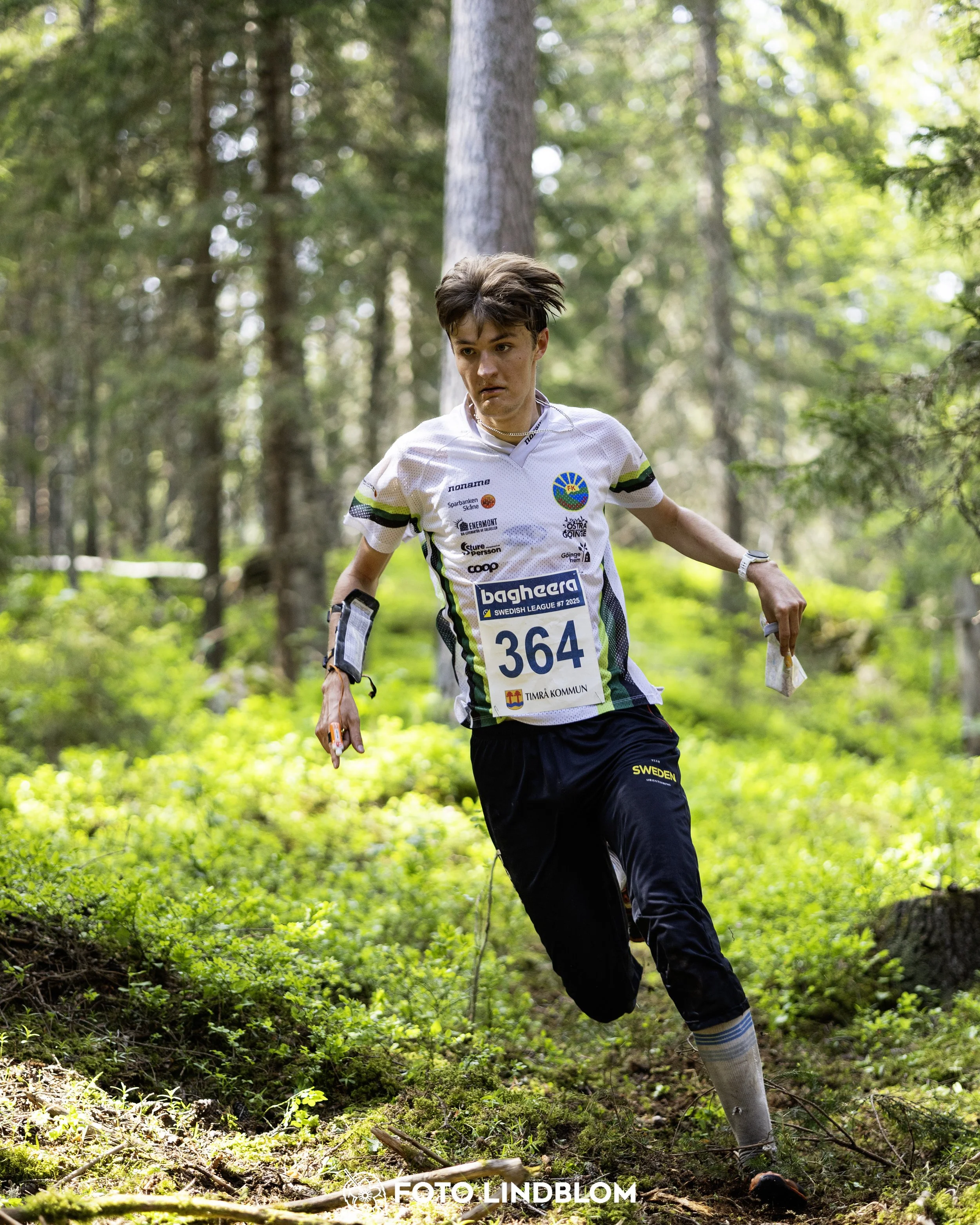 A picture from the seventh stage of the Swedish League orienteering competition