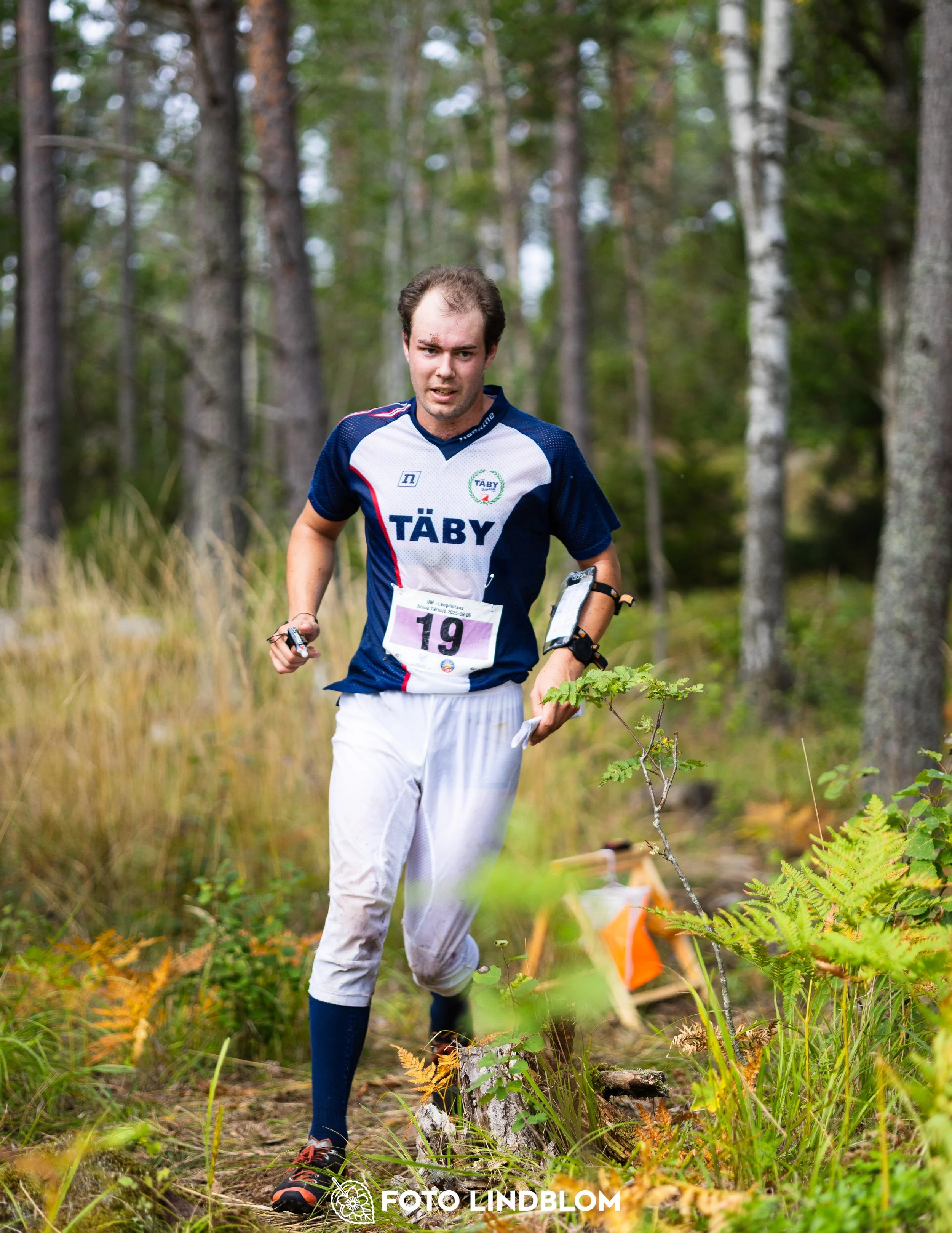 A picture from the Stockholm district championship in middle distance orienteering taken by Foto Lindblom