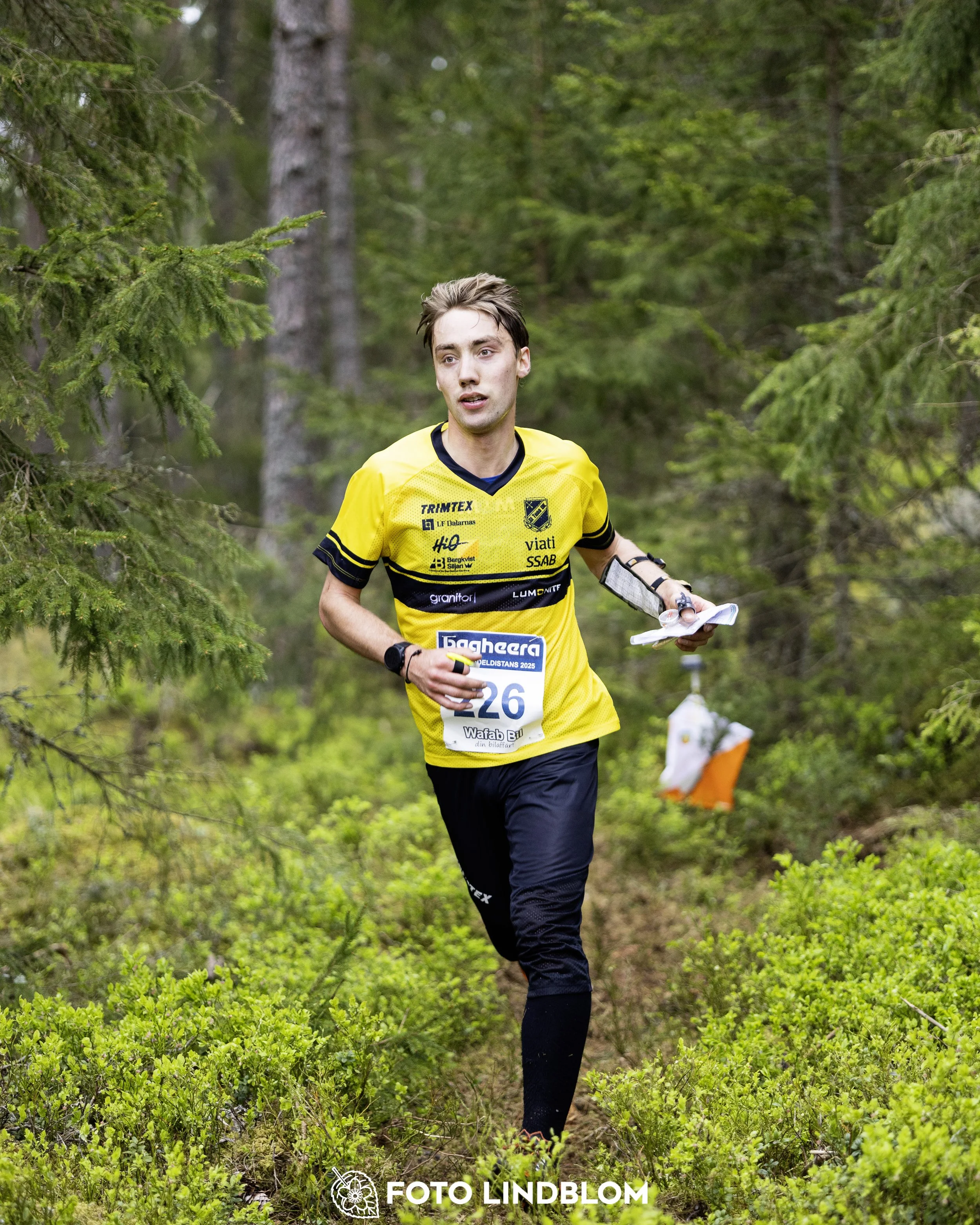 A picture from the Swedish national championship in middle distance orienteering and Swedish league race