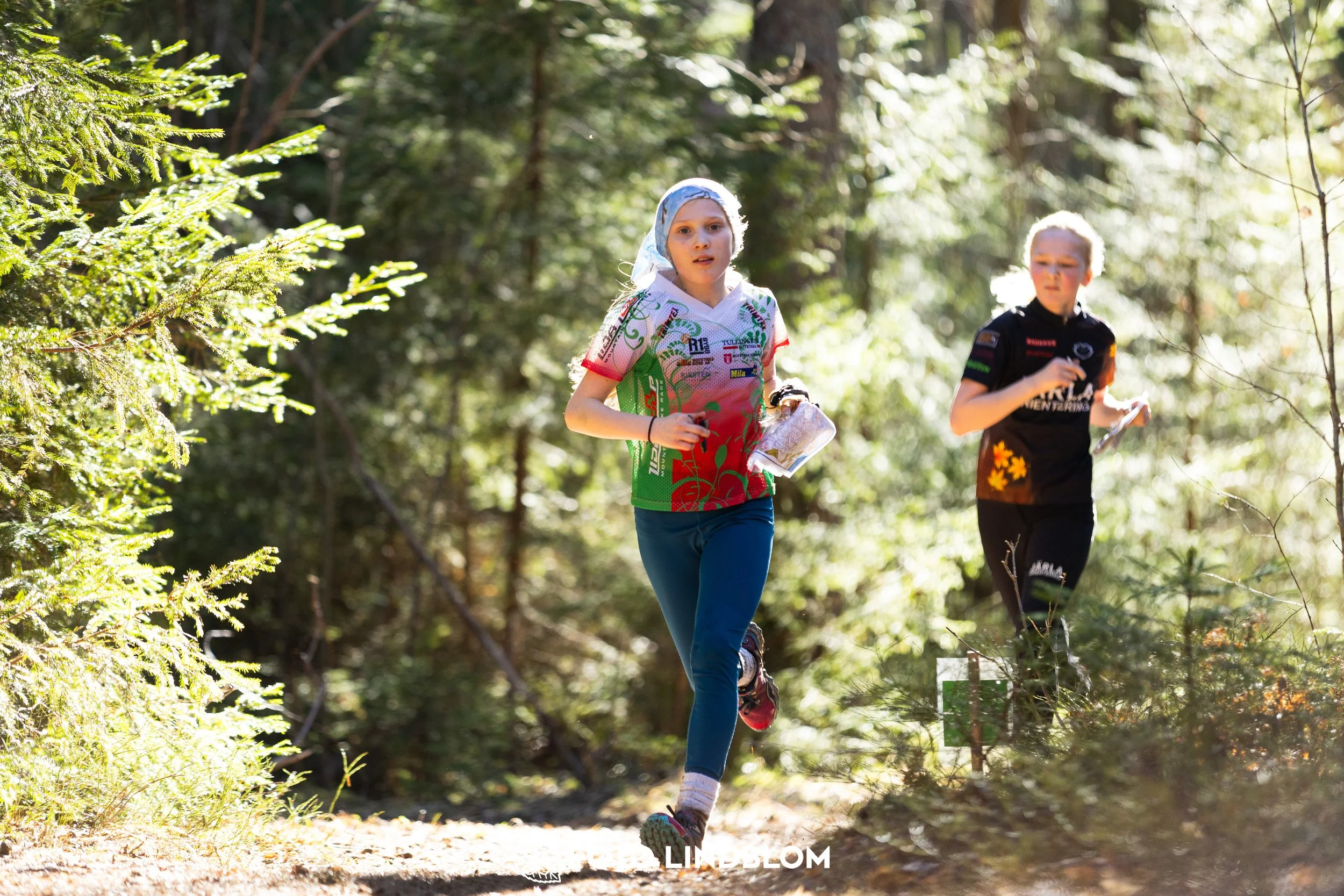 Orienteering in forest terrain at Nyköpingsorienteringen 2026, photographed by Foto Lindblom.