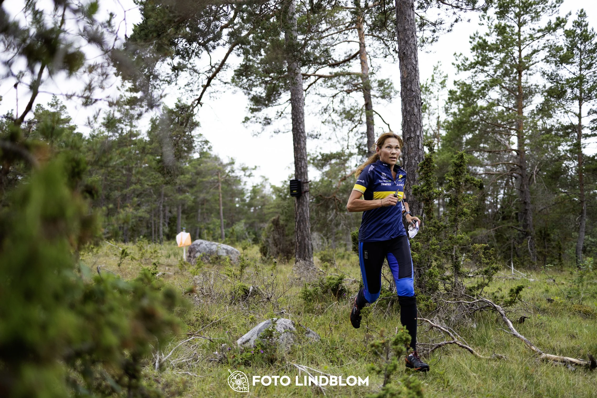 A picture from the Gotlands 2-Dagars orienteering competition