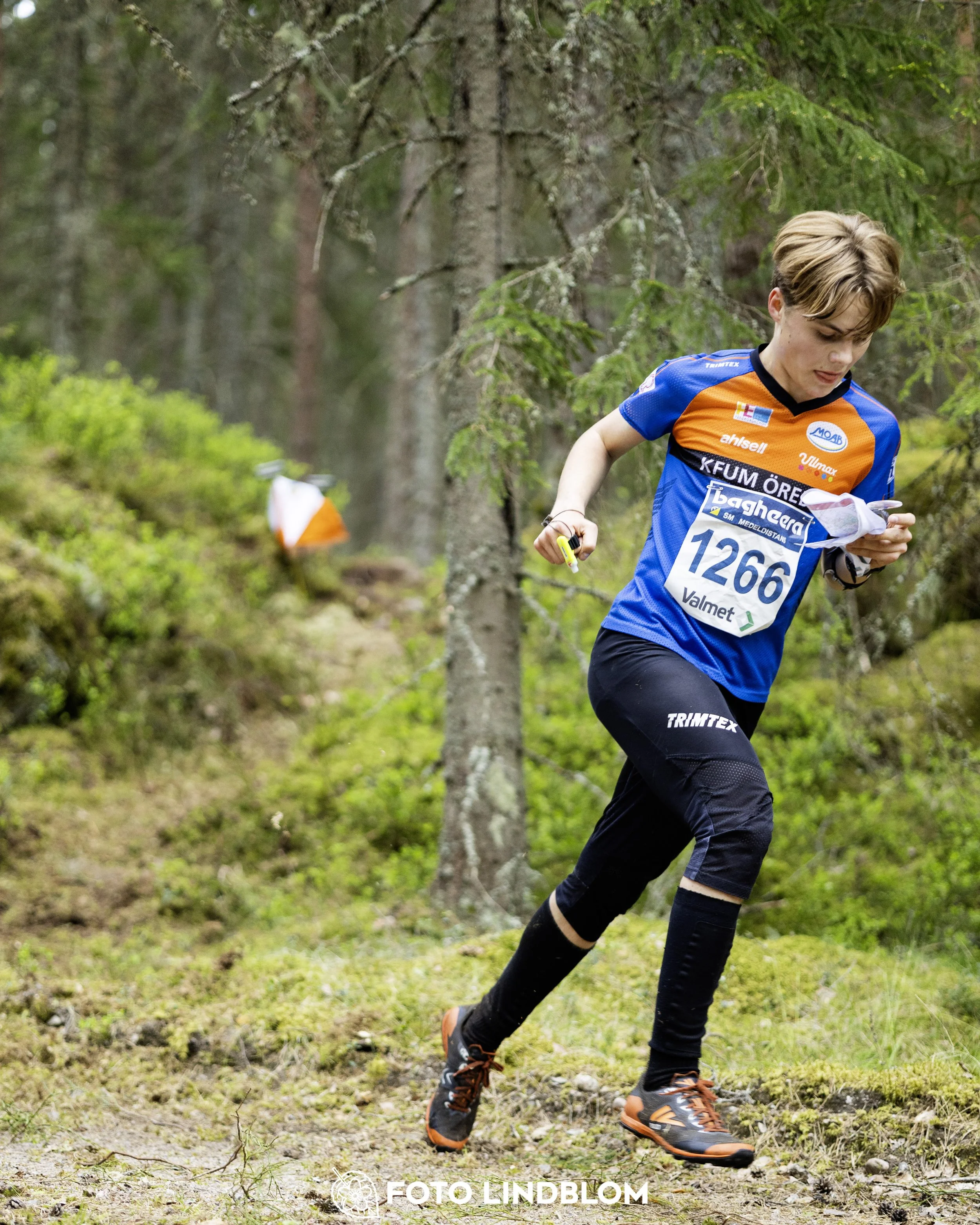A picture from the Swedish national championship in middle distance orienteering and Swedish league race
