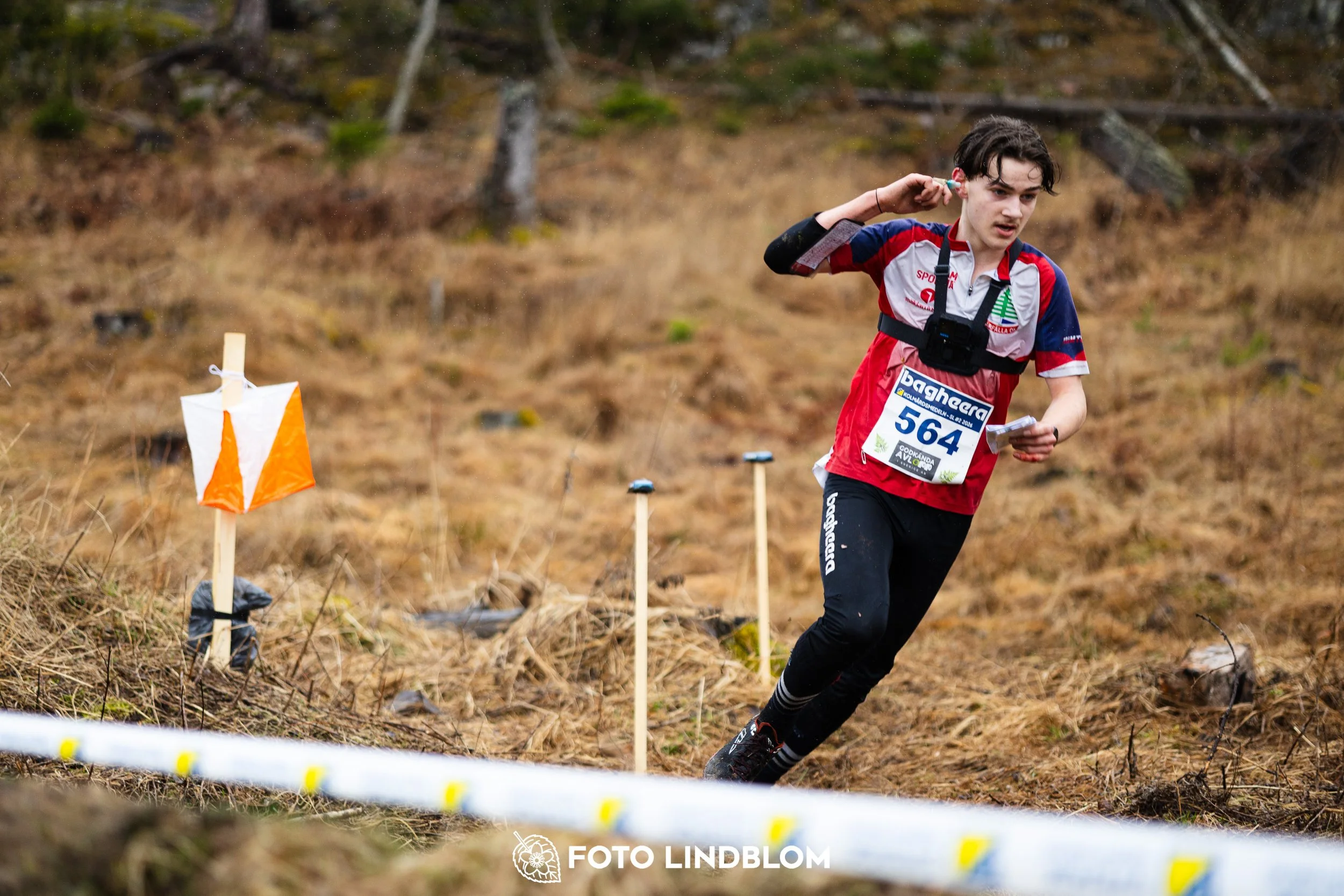 A scene from the Swedish League middle distance event in Kolmården spring 2026, captured by Foto Lindblom.