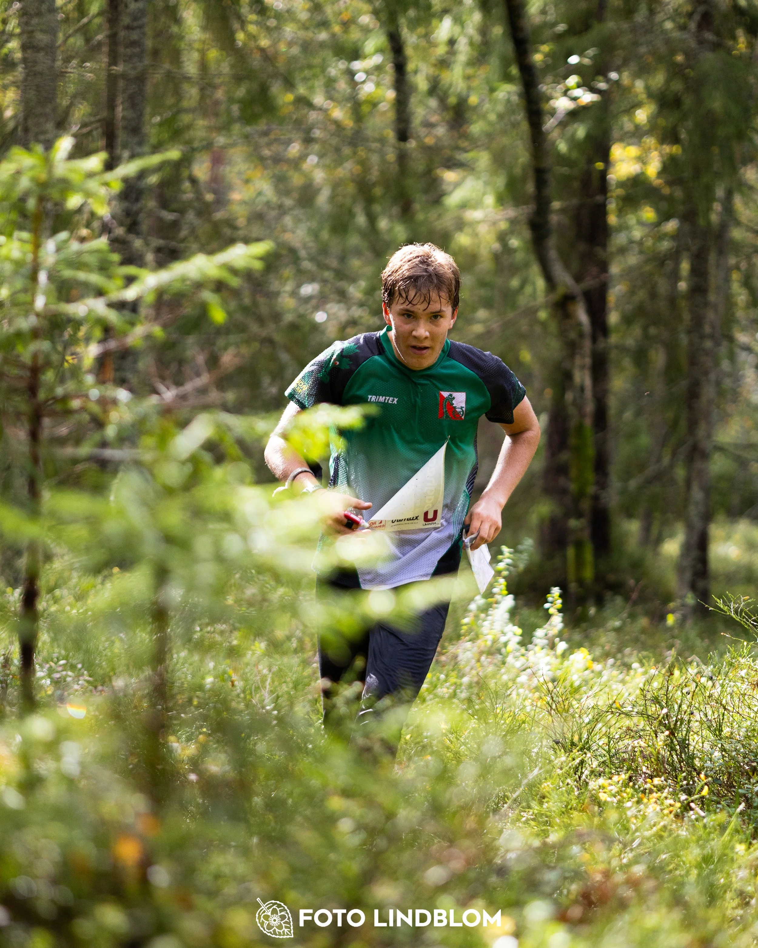 A picture from the Swedish national championship in long distance orienteering and Swedish league race taken by Foto Lindblom