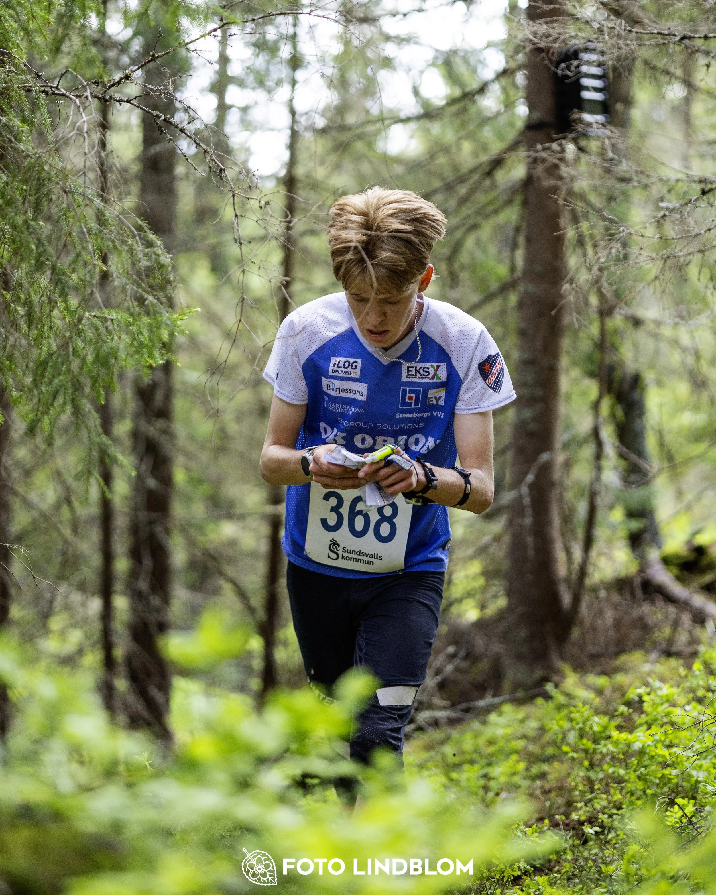 A picture from the seventh stage of the Swedish League orienteering competition