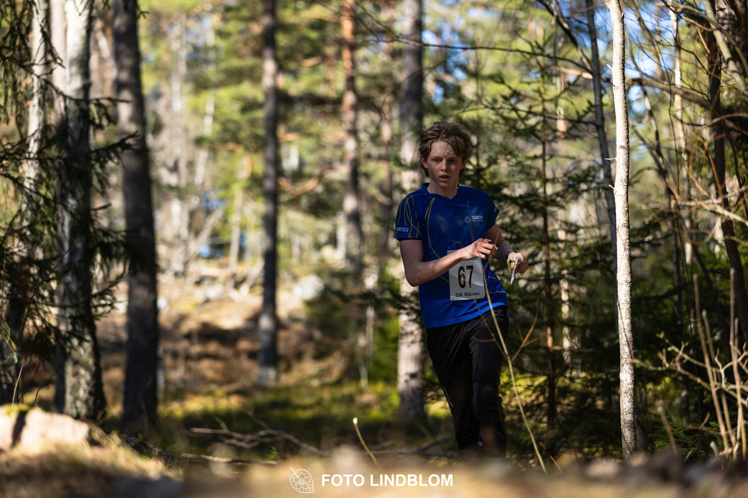 Image from Måsenstafetten 2026 showing orienteering relay teams competing in Swedish forest terrain, taken by Foto Lindblom.