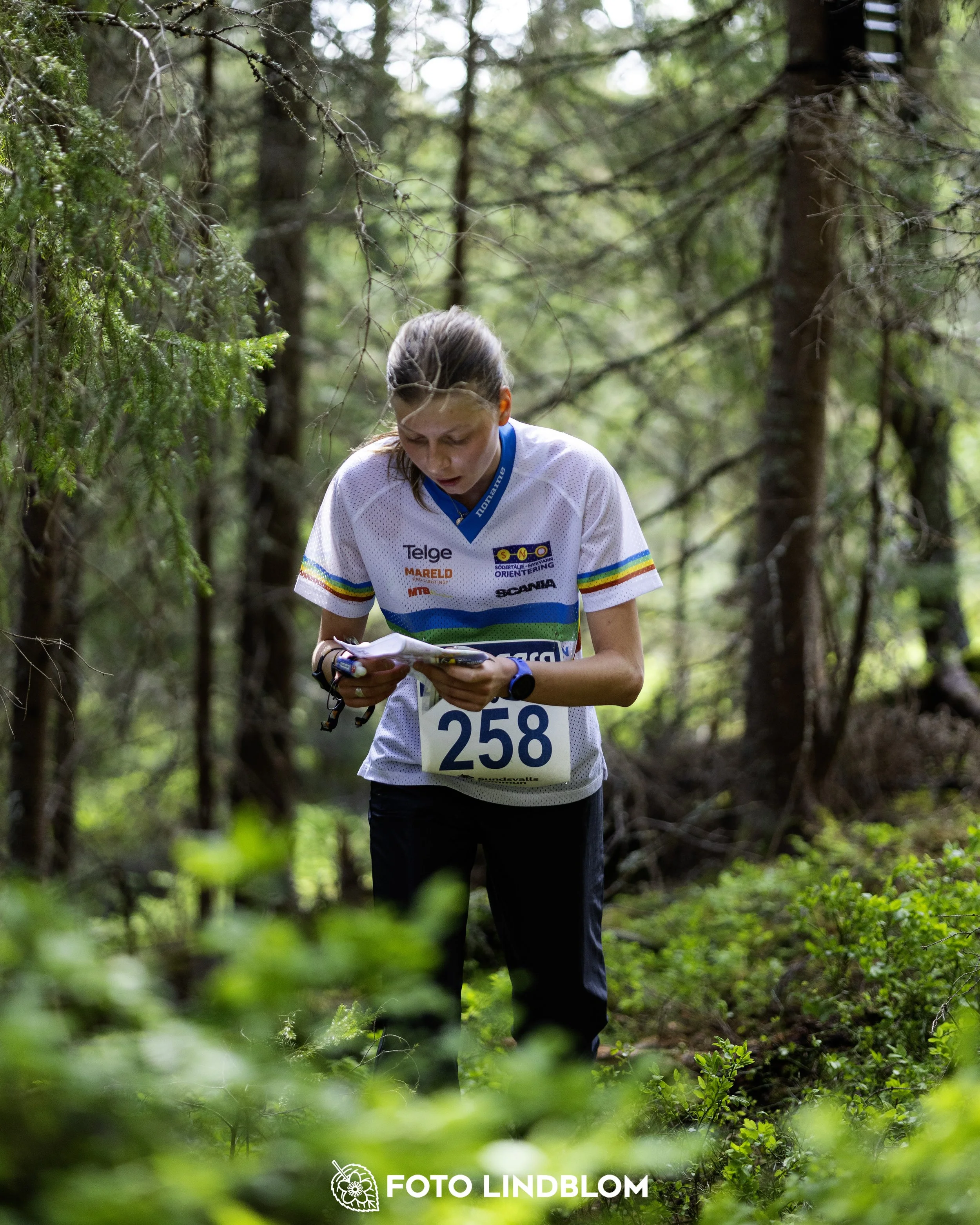 A picture from the seventh stage of the Swedish League orienteering competition