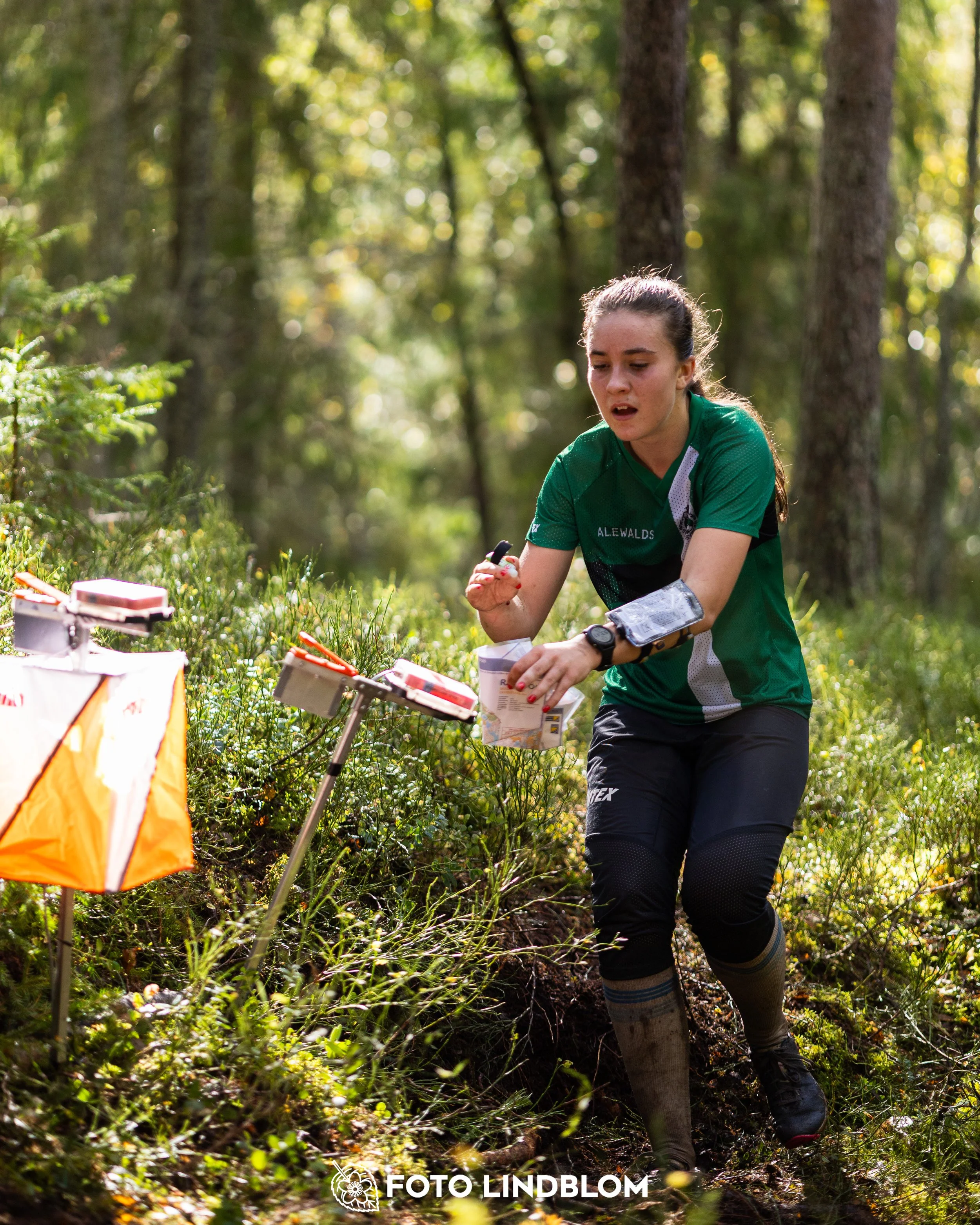 A picture from the Swedish national championship in long distance orienteering and Swedish league race taken by Foto Lindblom