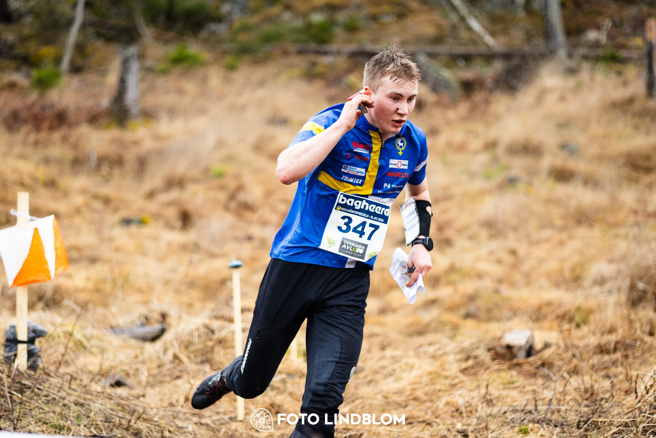 A scene from the Swedish League middle distance event in Kolmården spring 2026, captured by Foto Lindblom.