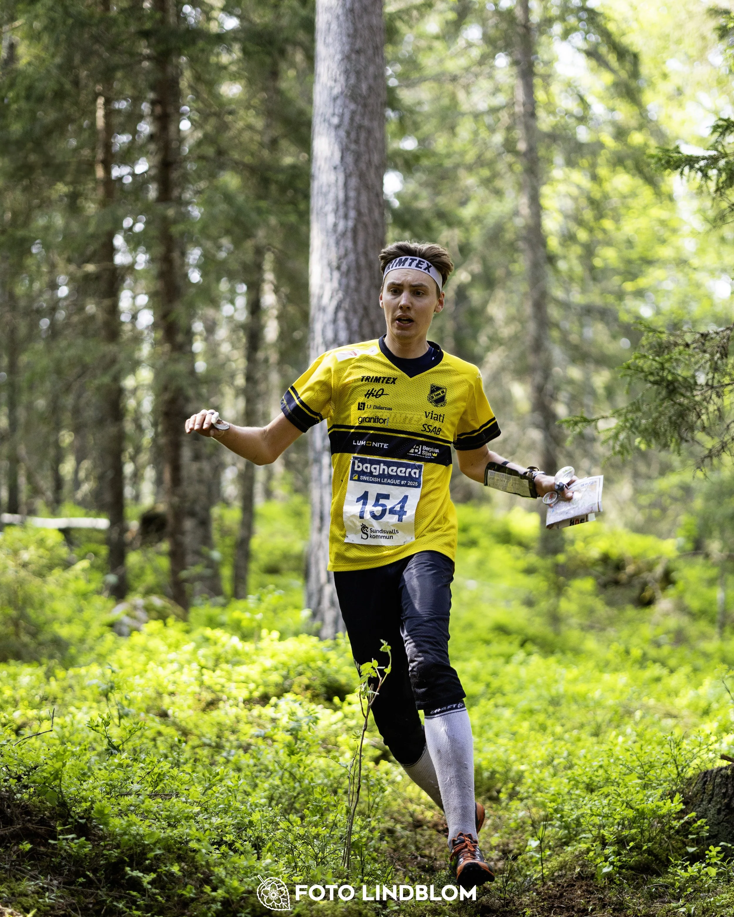 A picture from the seventh stage of the Swedish League orienteering competition