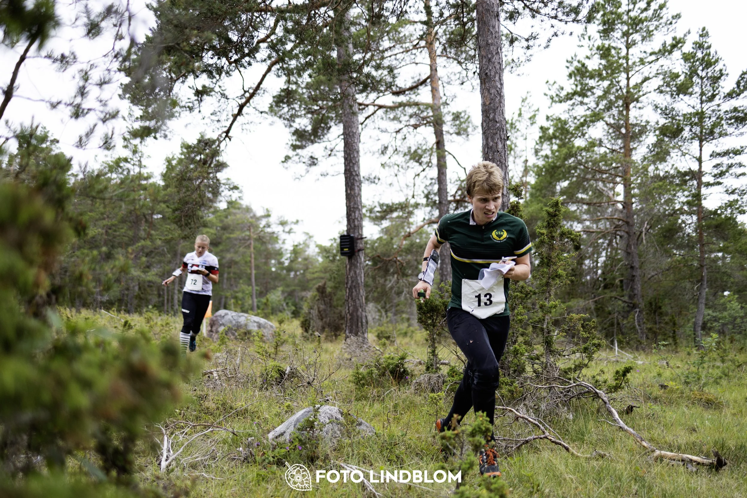 A picture from the Gotlands 2-Dagars orienteering competition