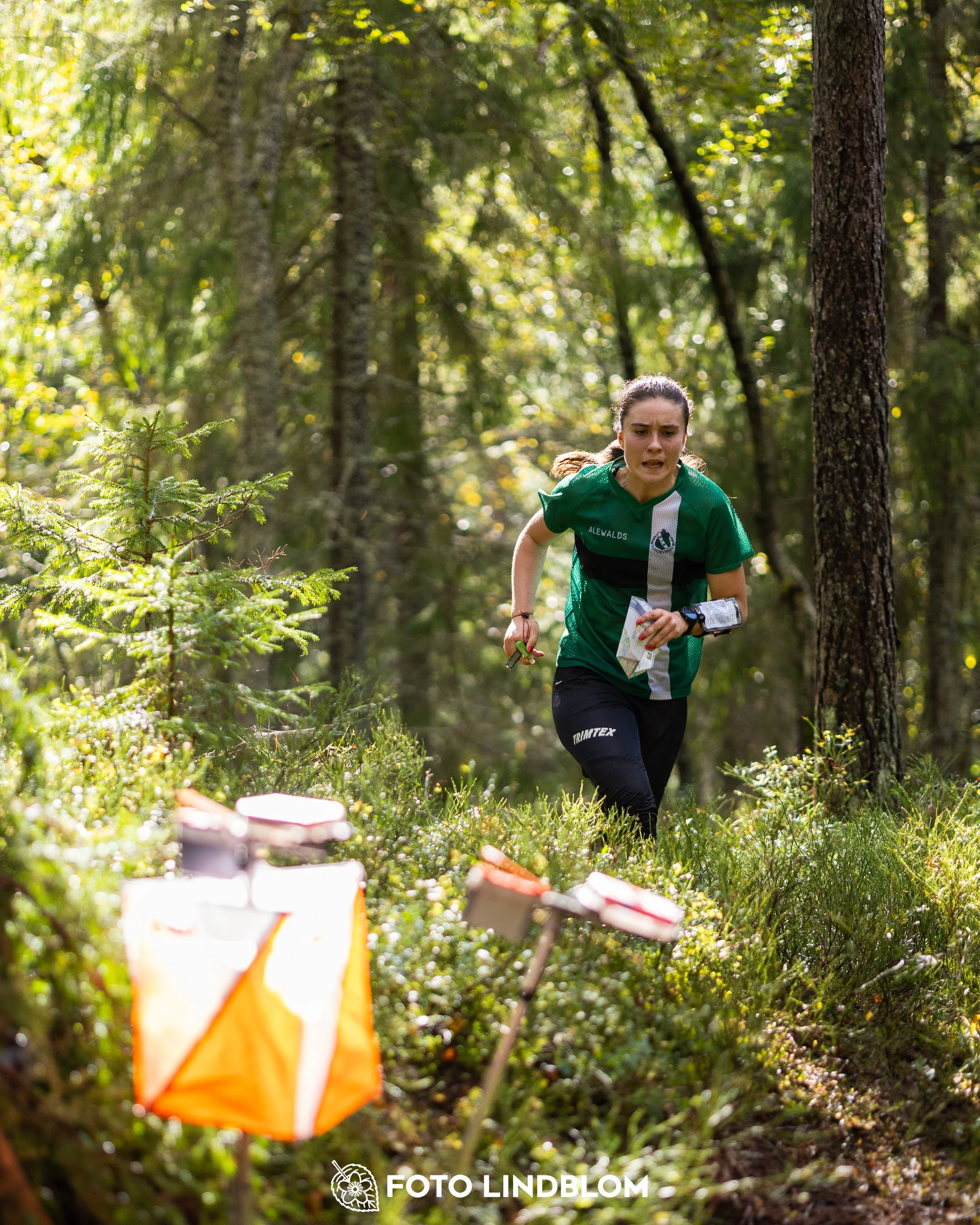 A picture from the Swedish national championship in long distance orienteering and Swedish league race taken by Foto Lindblom