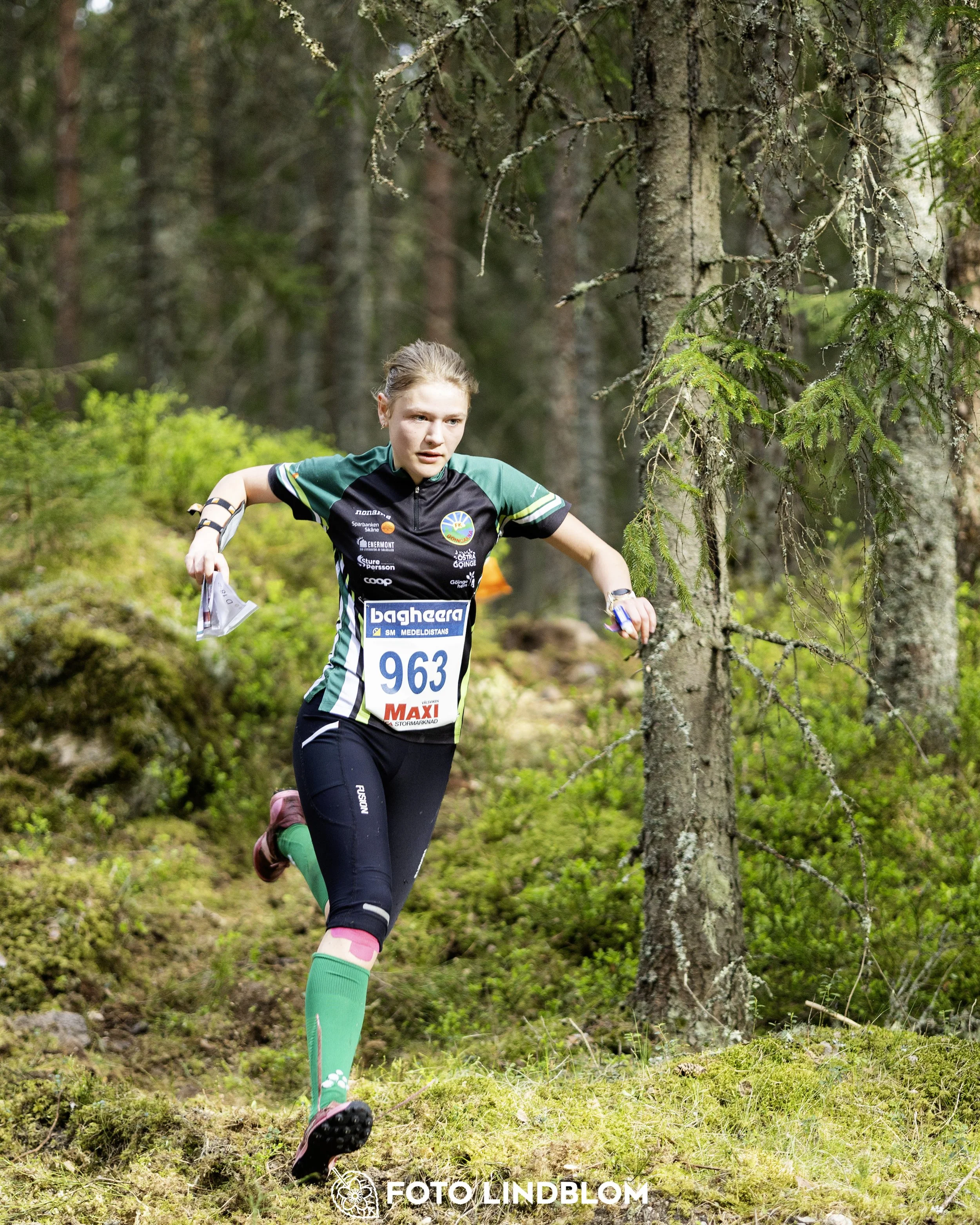 A picture from the Swedish national championship in middle distance orienteering and Swedish league race