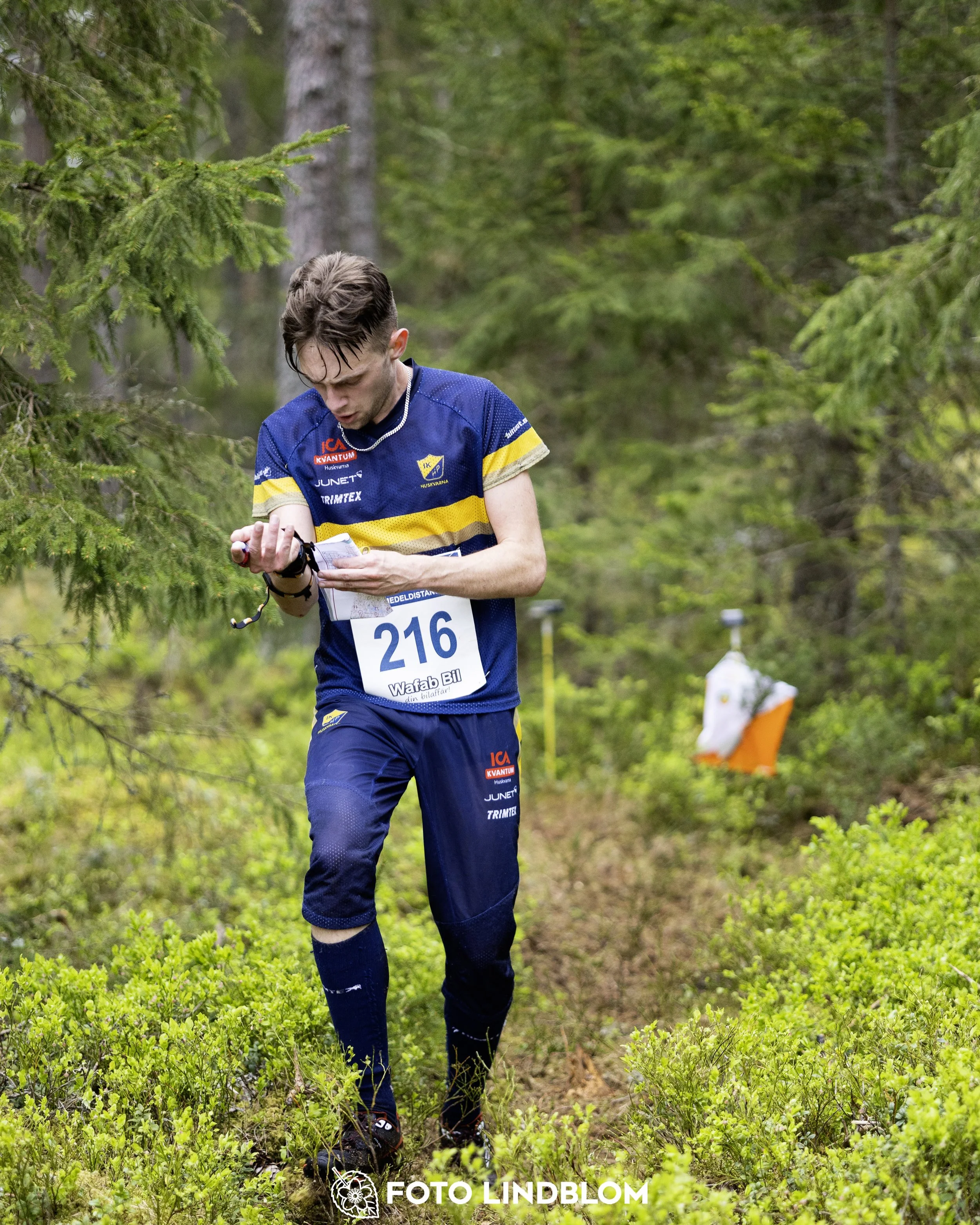 A picture from the Swedish national championship in middle distance orienteering and Swedish league race